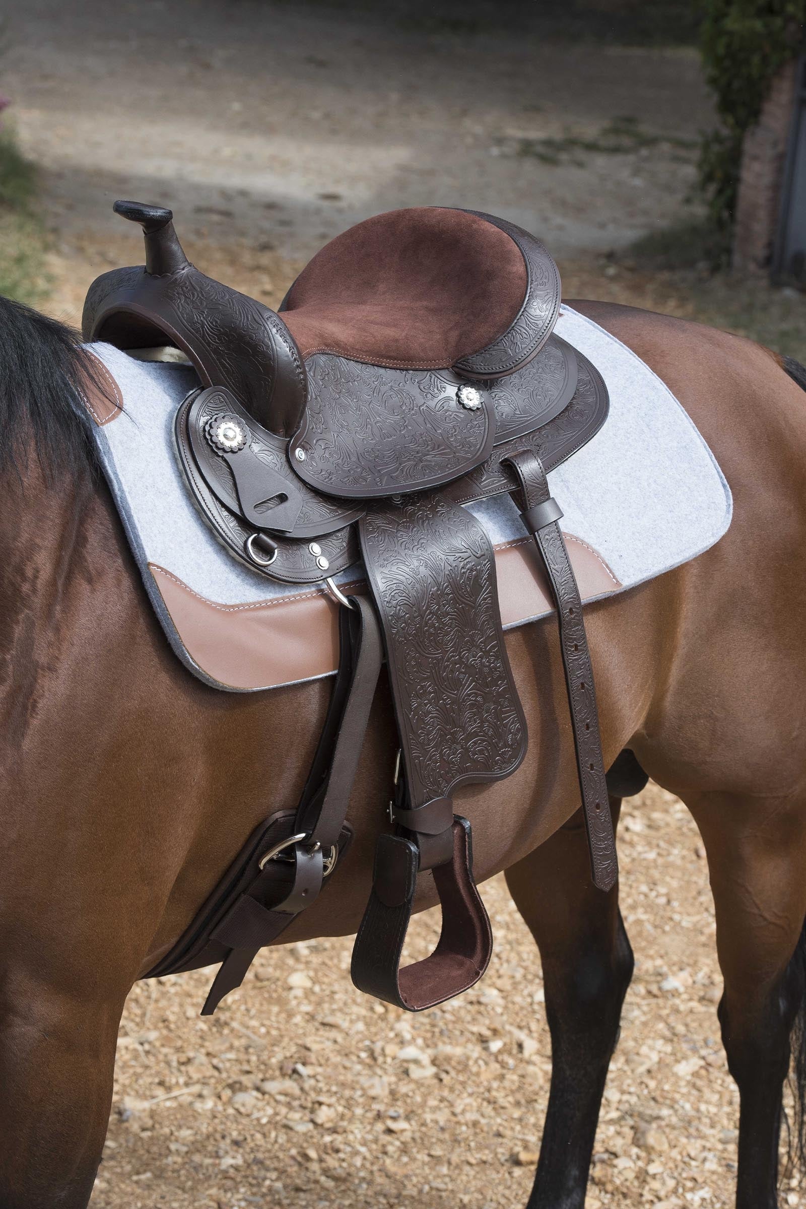 WESTRIDE Felt Saddle Pad 16mm Saddle Pads