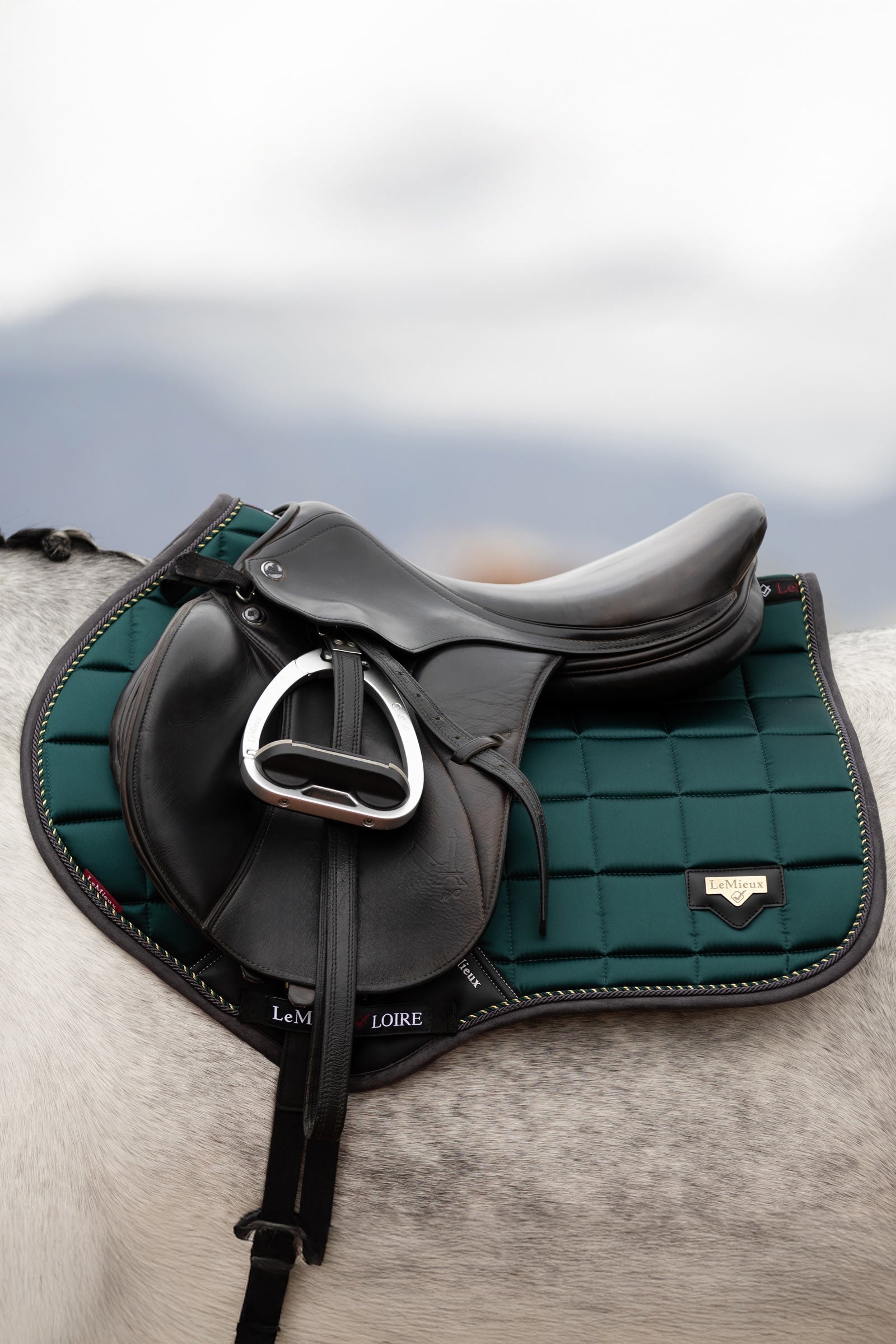 LeMieux Loire Classic Square Close Contact Saddle Pad Saddle Pads