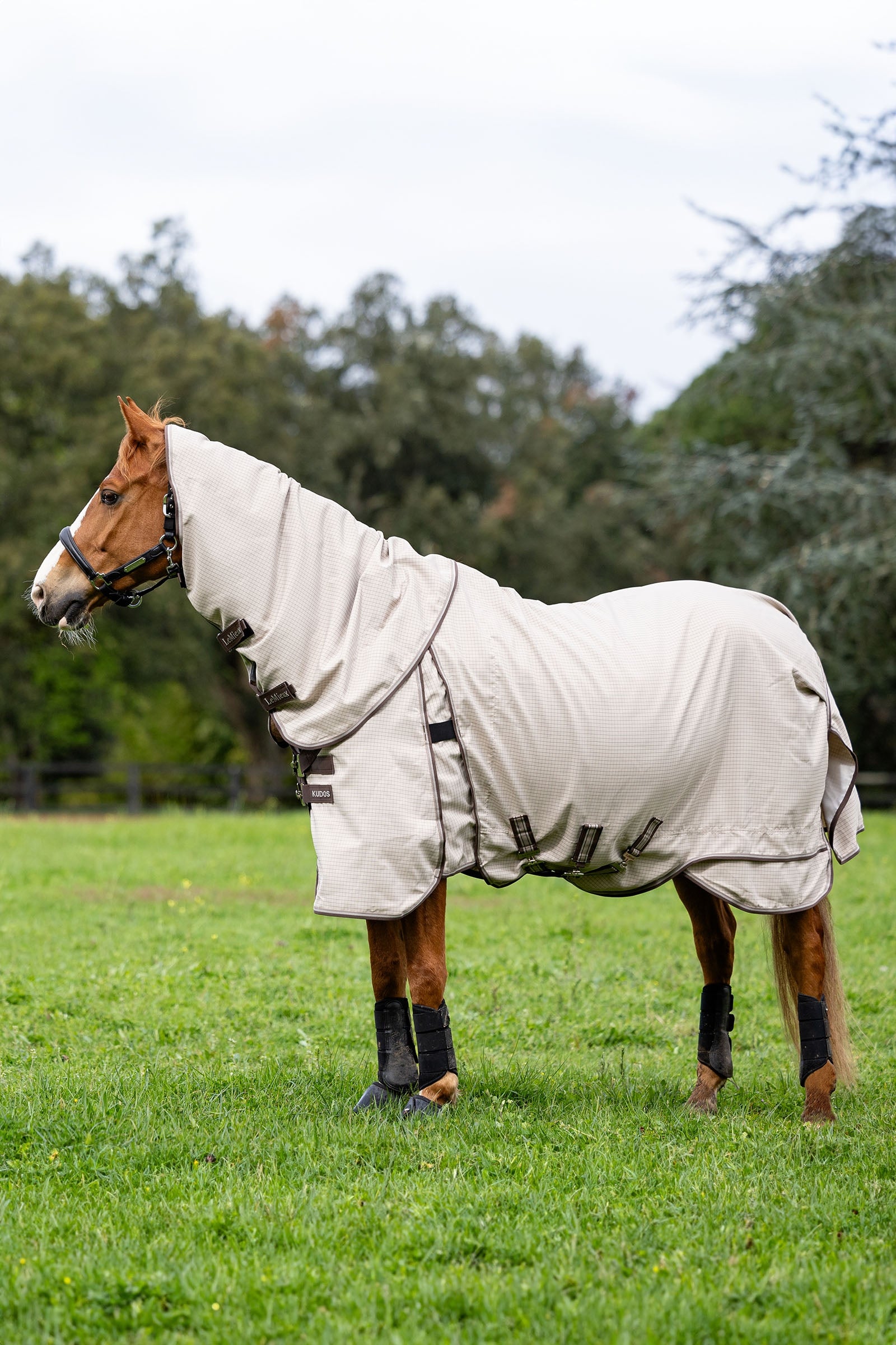 LeMieux Kudos manta de pradera Mantas Caballo