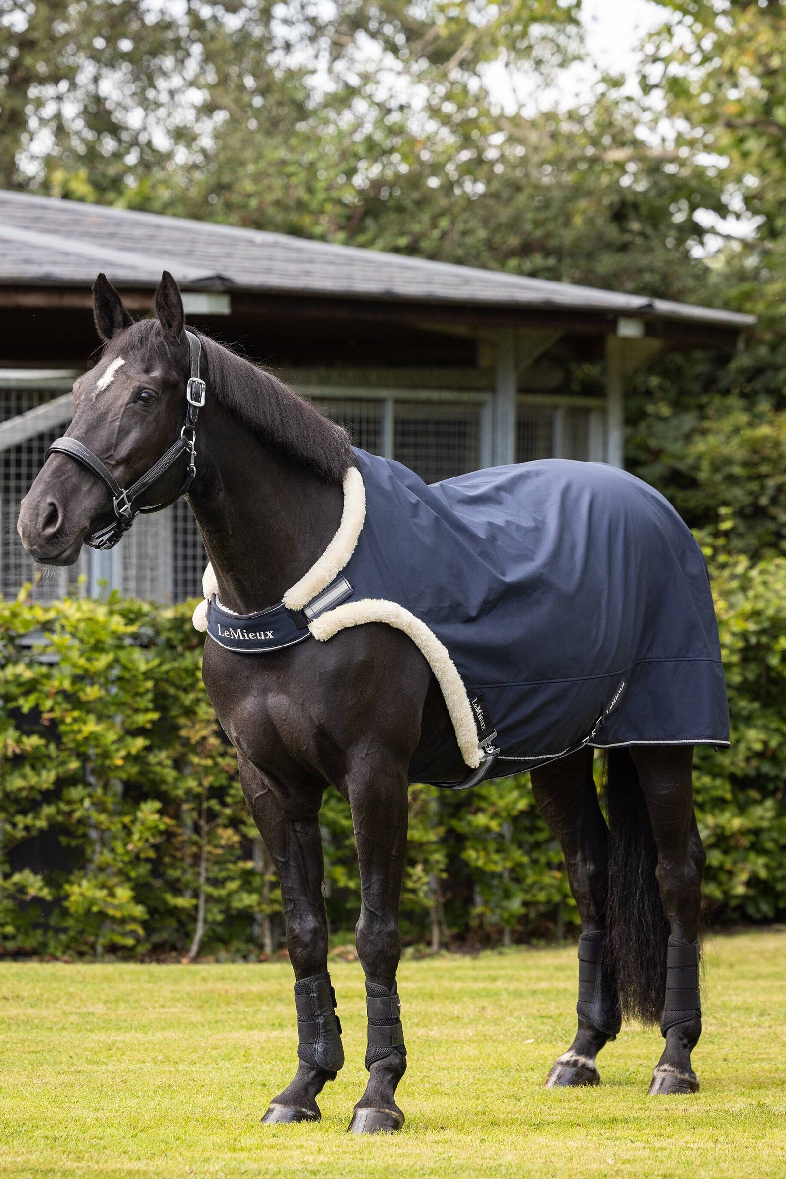 LeMieux Manta de guía Mantas Caballo
