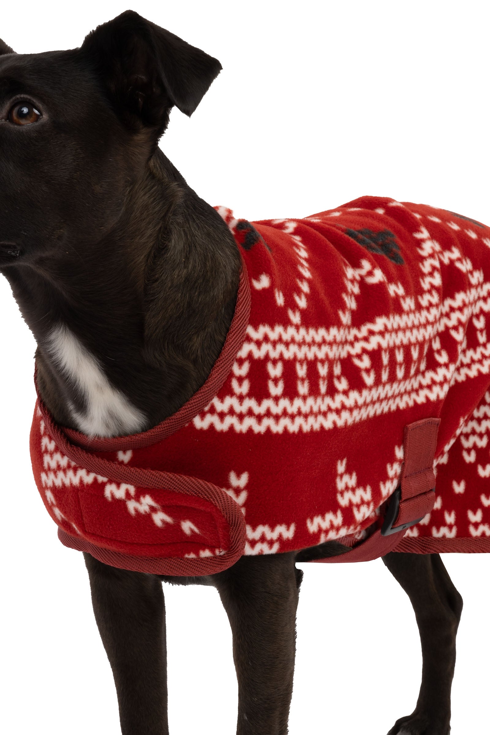 Horze Christmas dog sweater Dog Accesories