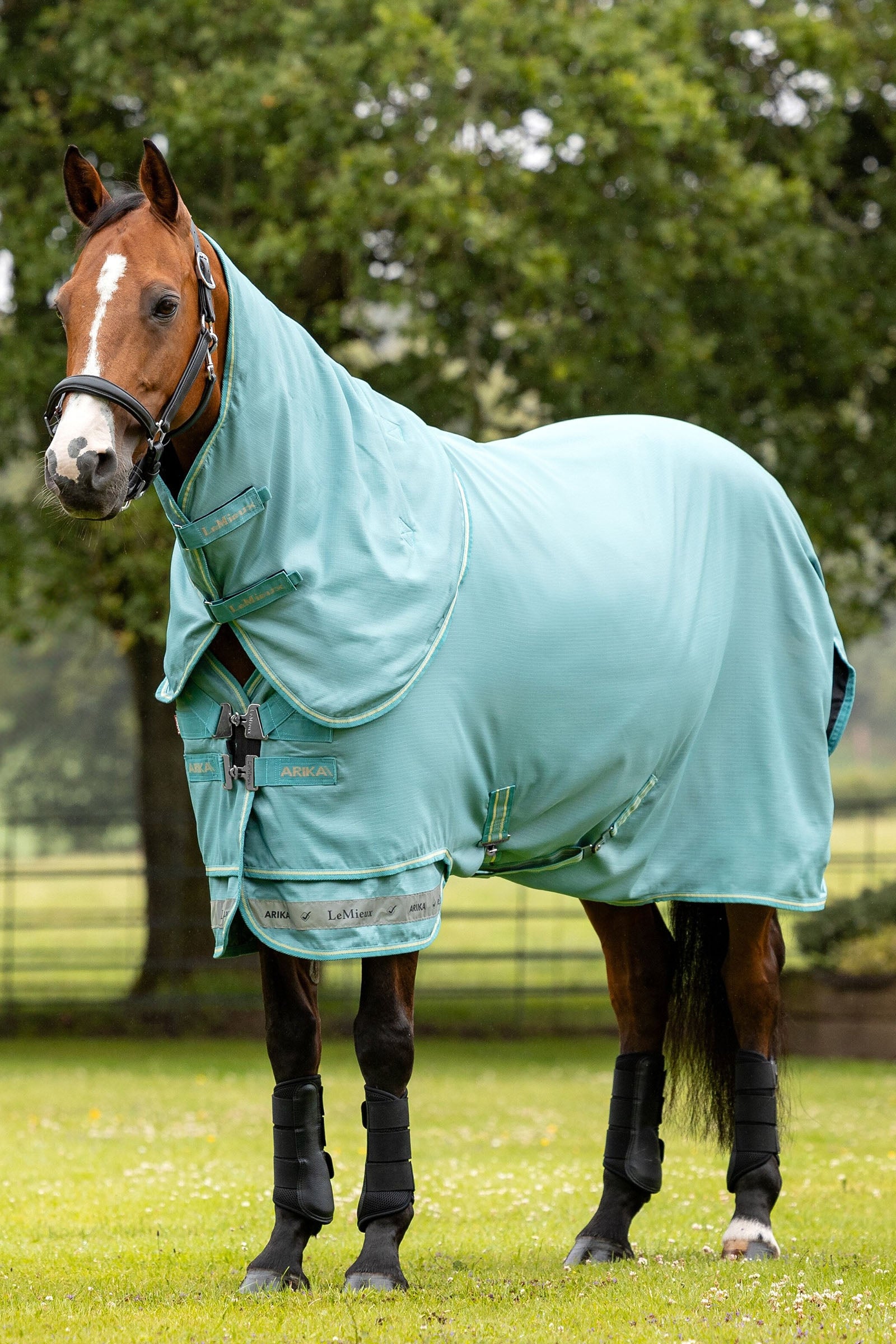 LeMieux Arika 600D Turnout Rug With Detachable Neck Part, 0g Horse Rugs