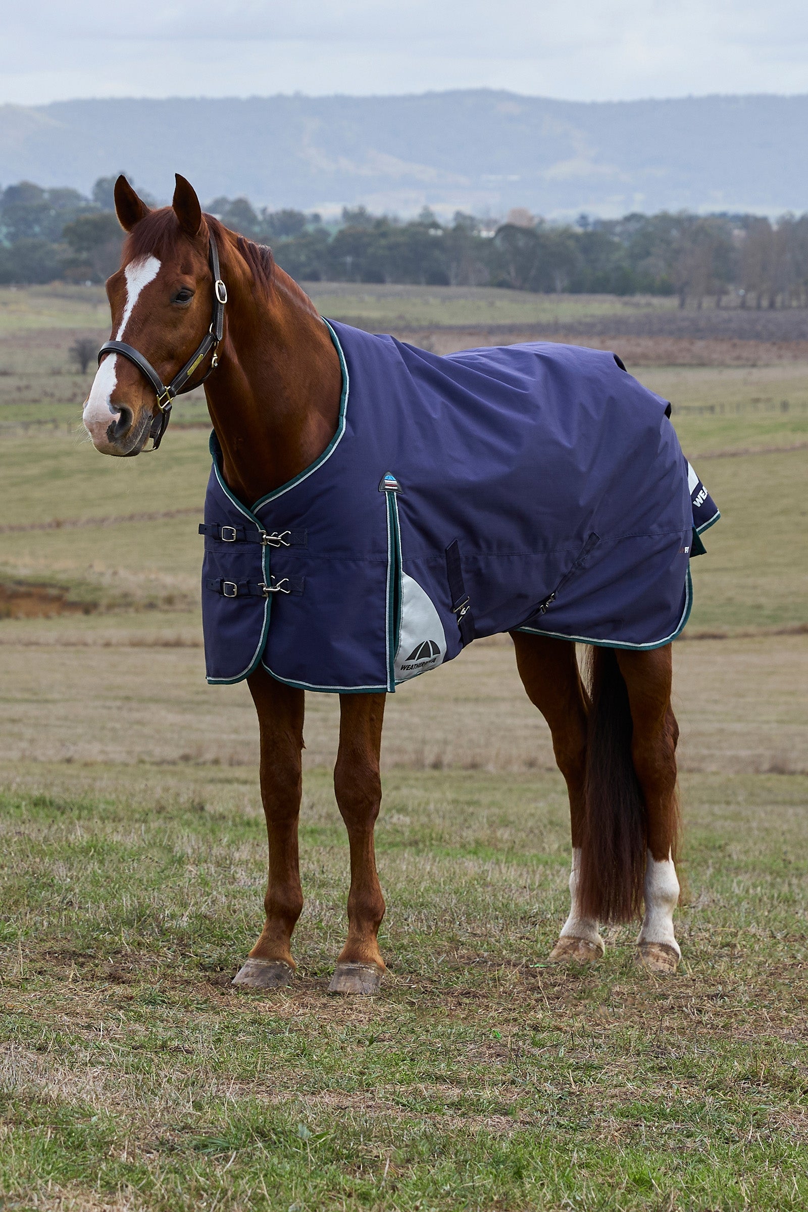 Weatherbeeta ComFiTecPlus Dynamic Turnout Detach-A-Neck 100G Mantas Caballo