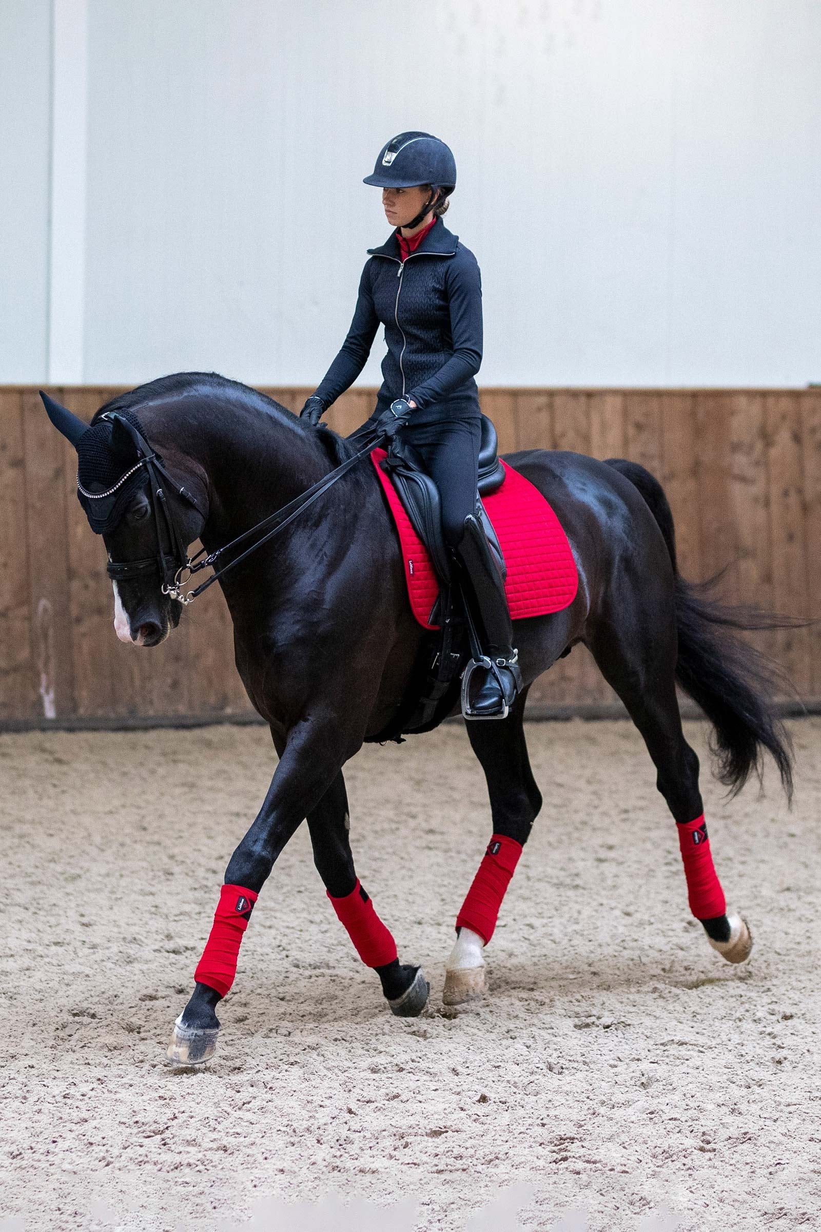 LeMieux Suede Seasonal Luxury Dressage Pad Saddle Pads