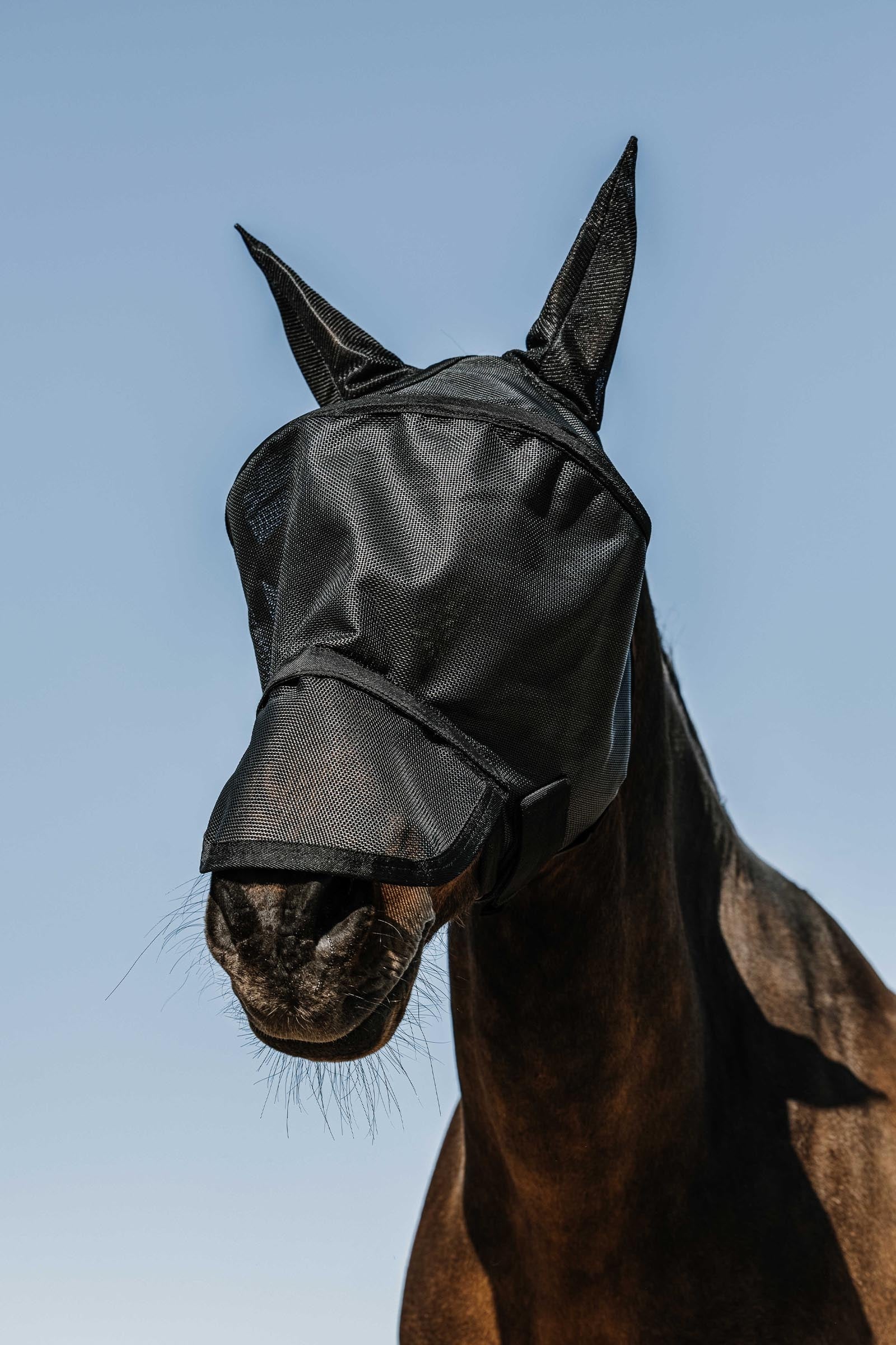 EQUITHÈME Protec Fly Mask/ UV Mask Antifly Protection for Horses