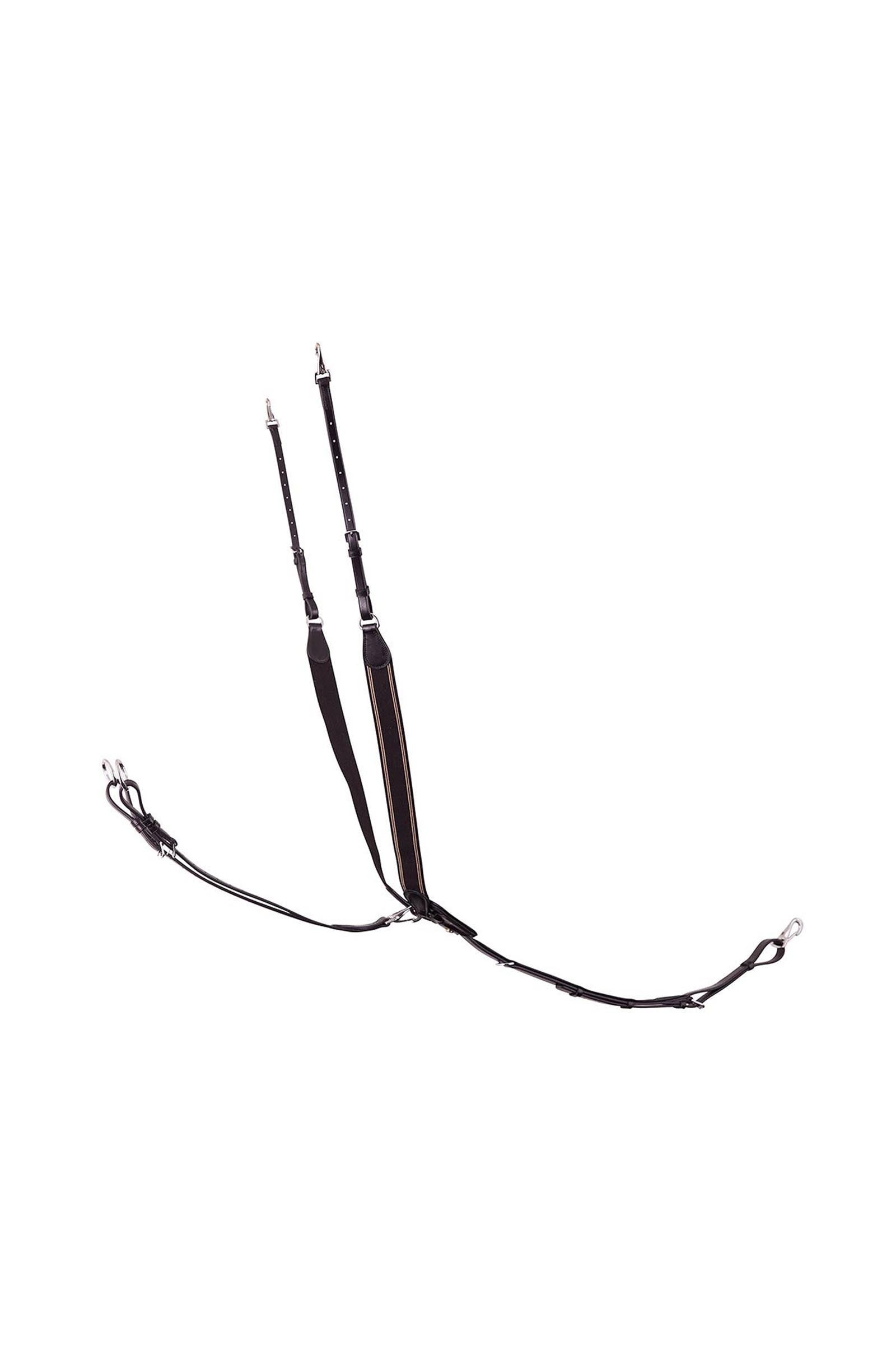 BR Taunton Elastic Breastplate With Martingale Bridles & Reins