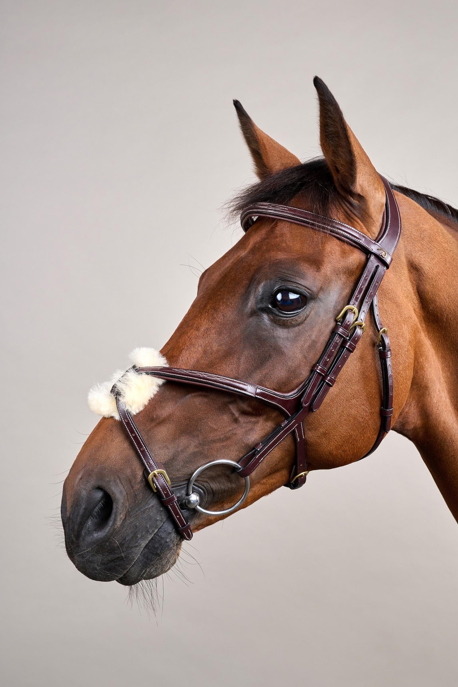 Dy'on D-Collection Figure 8 Noseband Bridle Bridles & Reins