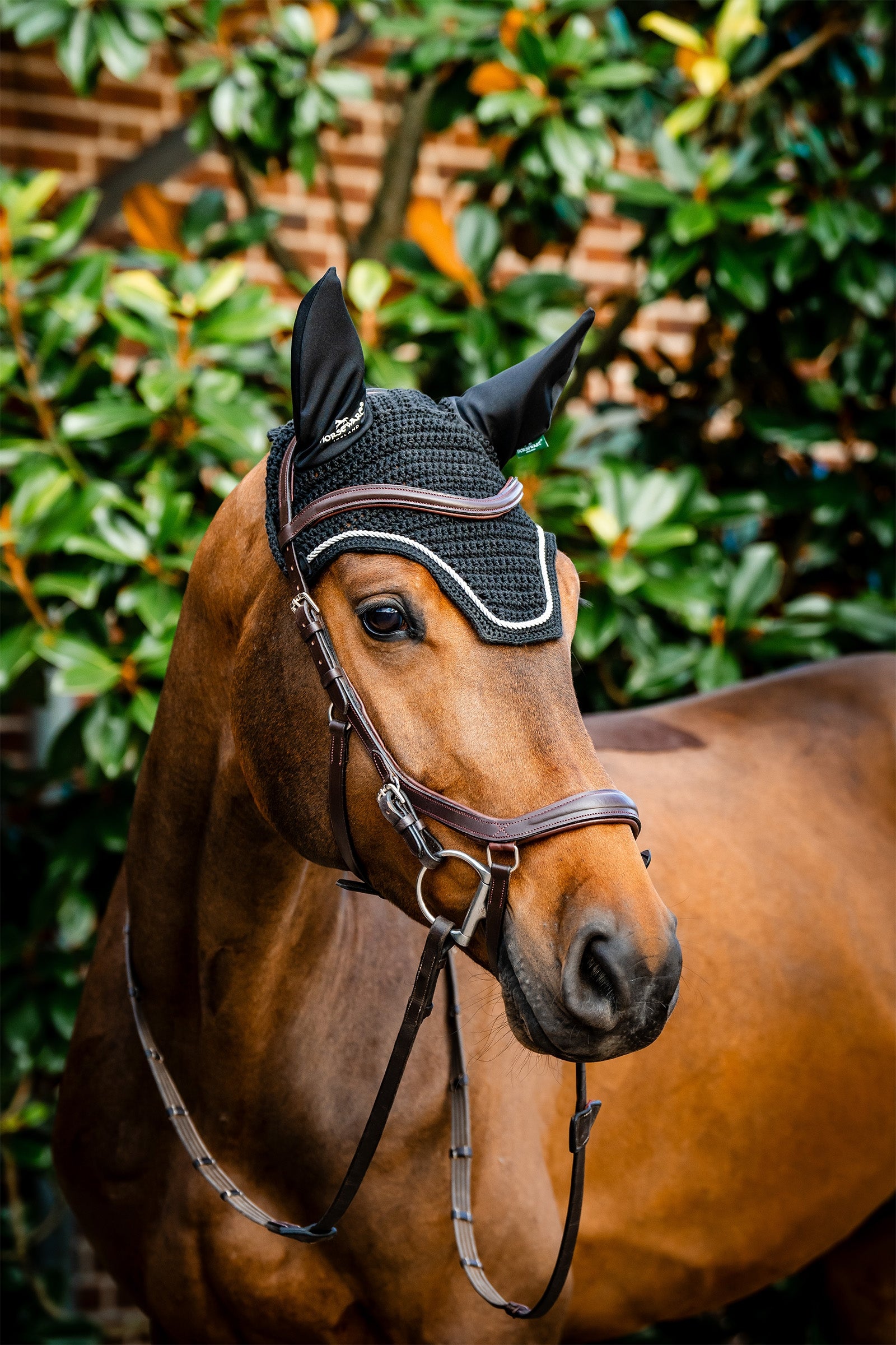 Horseware Signature capucha anti-moscas Mantillas