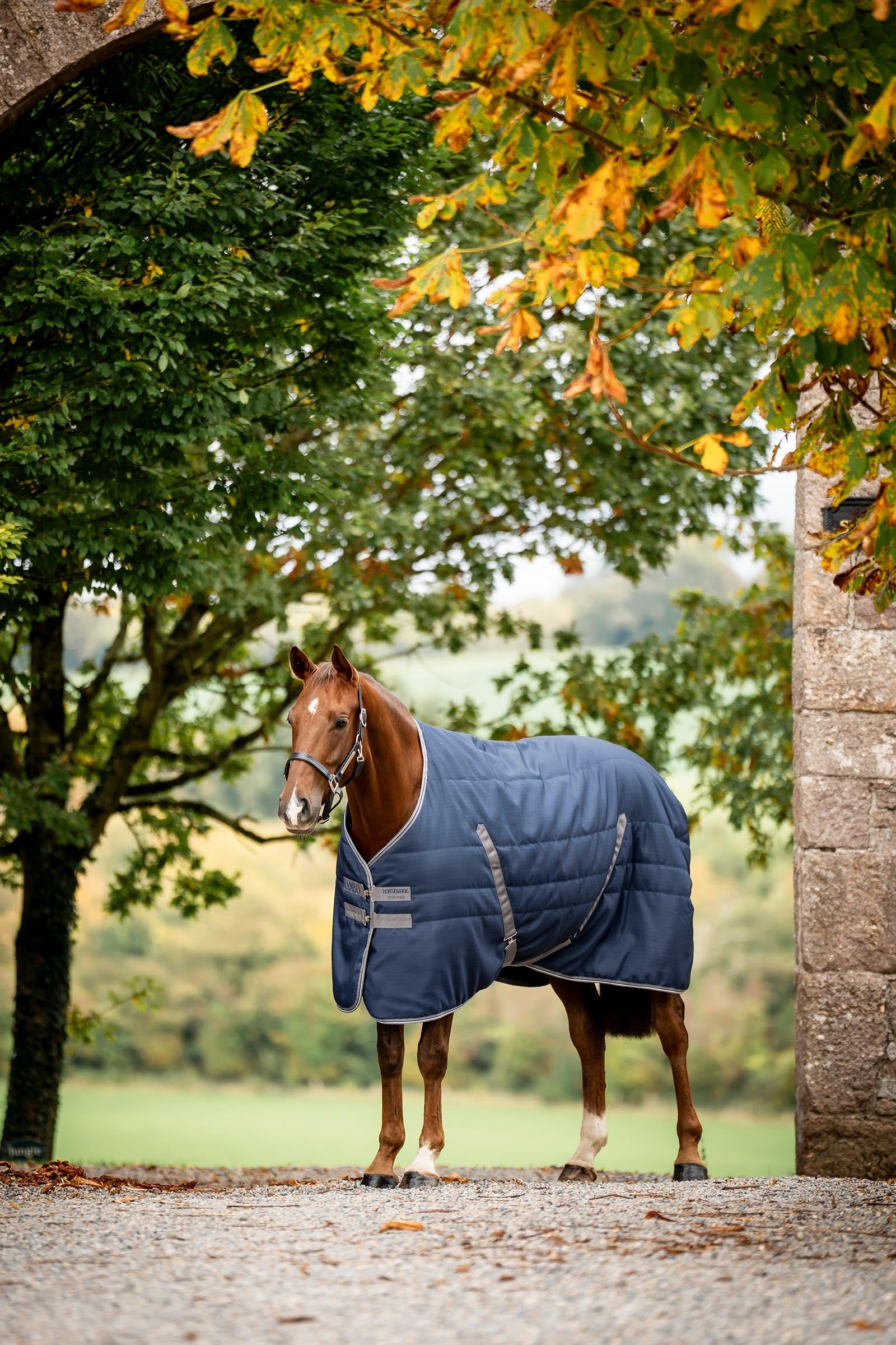 Horseware Rambo Stable 100 g Horse Rugs