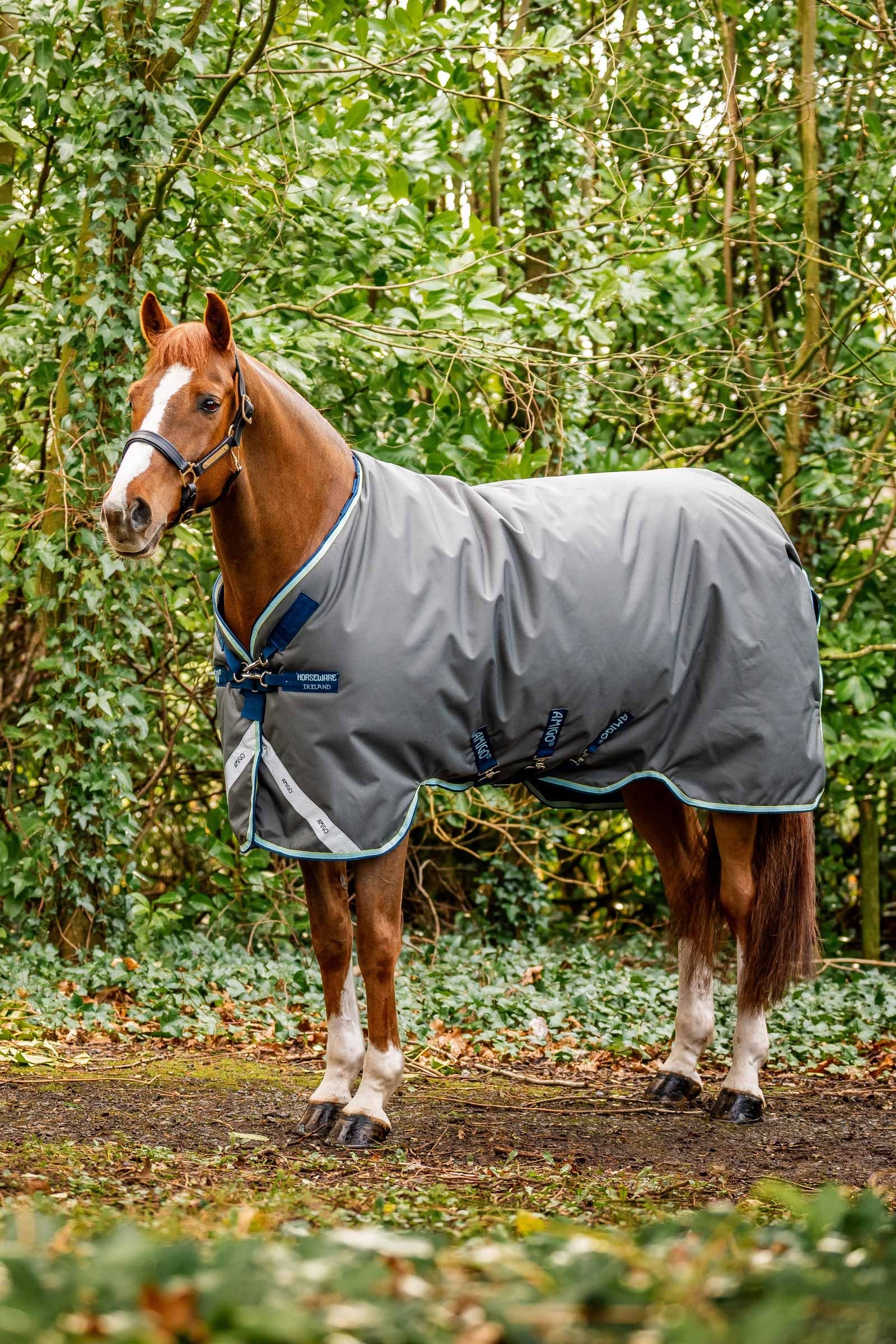 Horseware Amigo Bravo 12 Plus manta de exterior con cuello desmontable, 400g Mantas Caballo