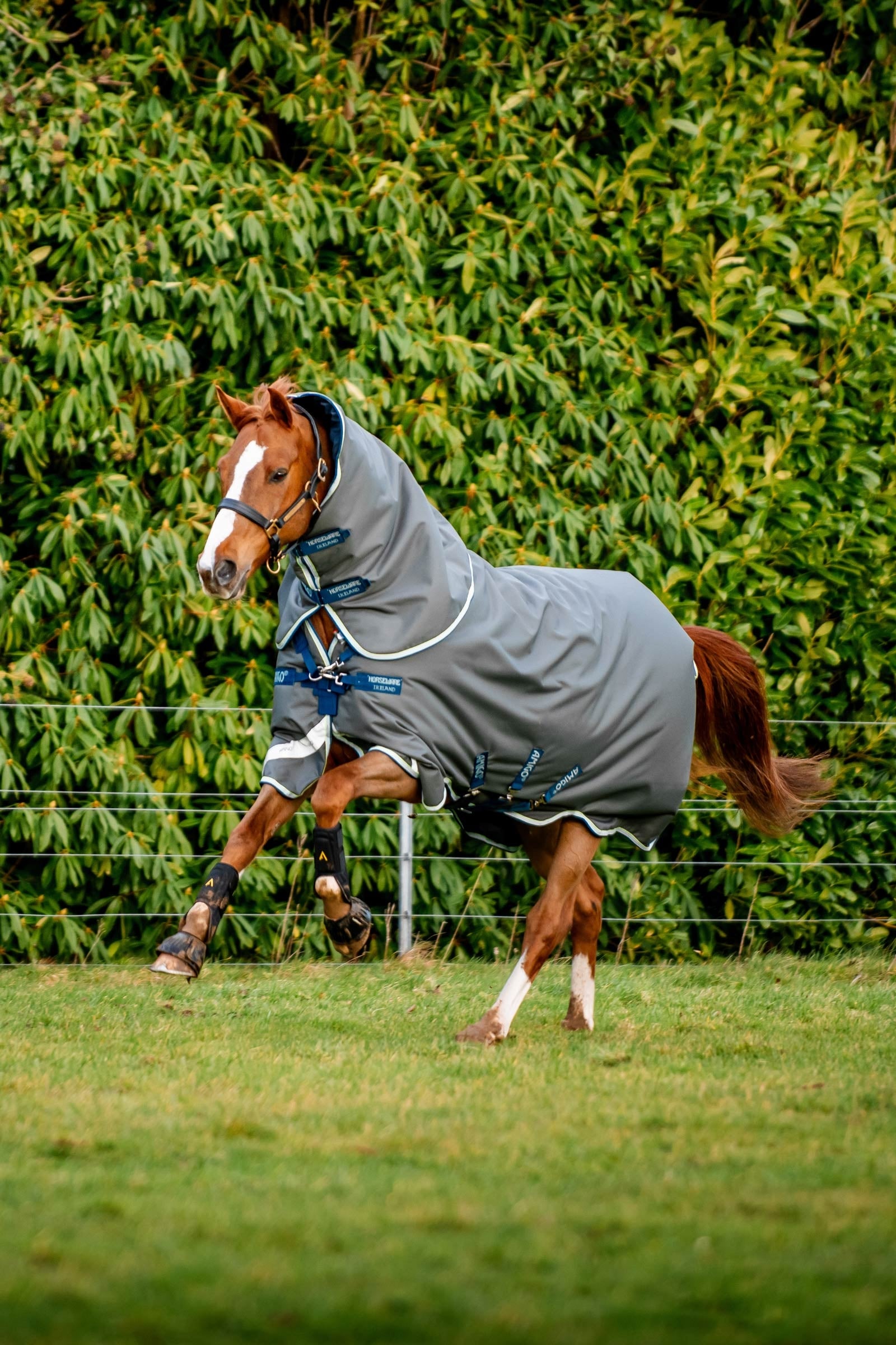 Horseware Amigo Bravo 12 Plus Turnout Rug With Detachable Neck, 400g Horse Rugs