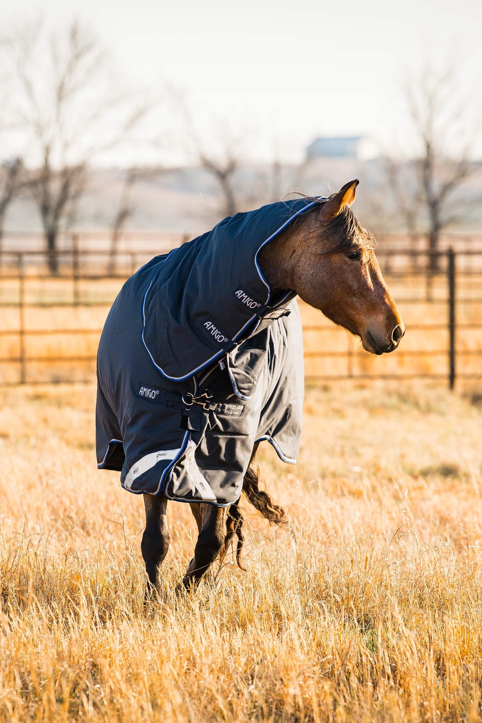 Horseware Amigo Bravo 12 Plus Turnout Rug With Detachable Neck, 400g Horse Rugs