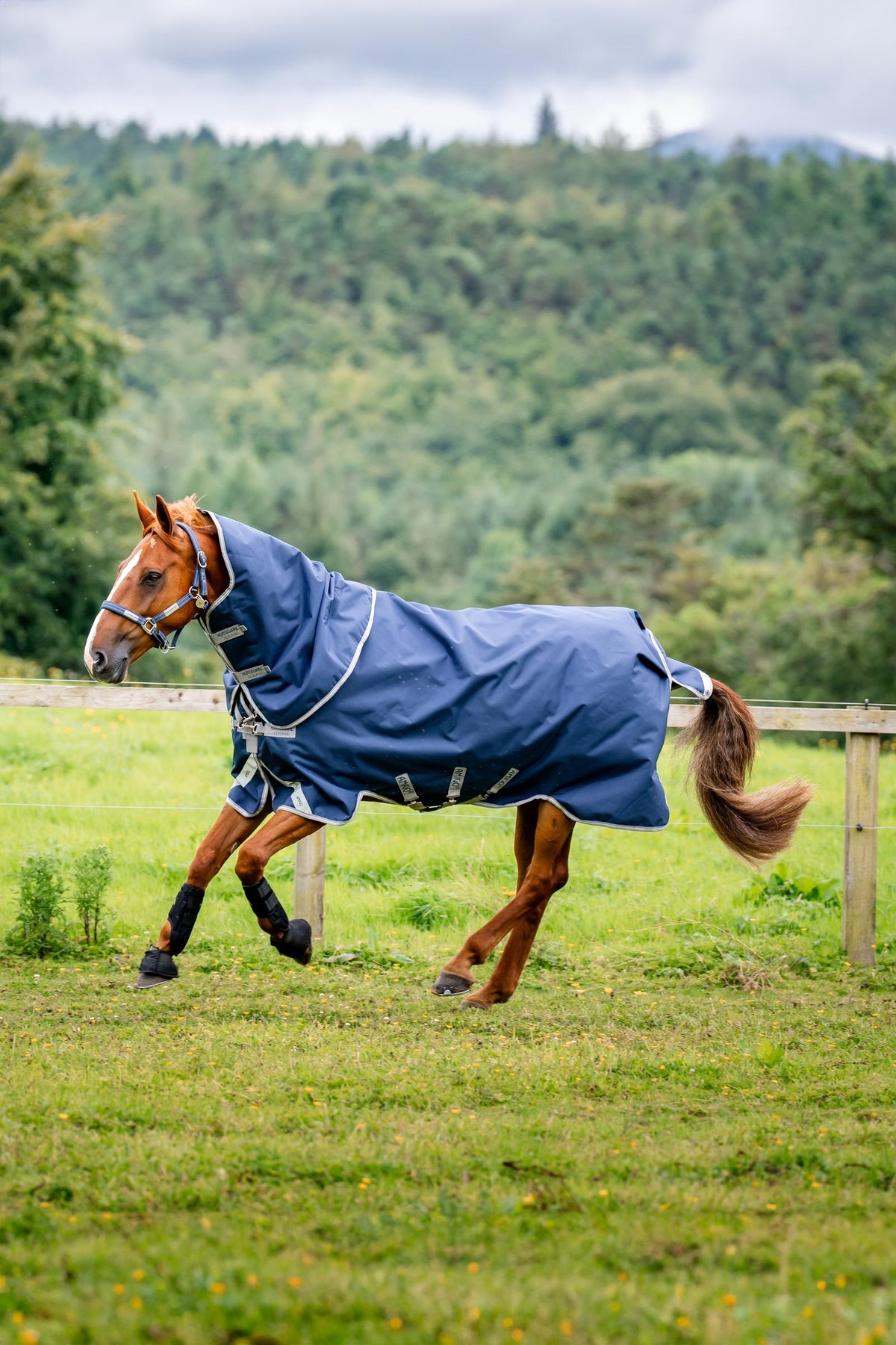 Horseware Amigo Bravo 12 Plus manta de exterior con cuello desmontable, 400g Mantas Caballo