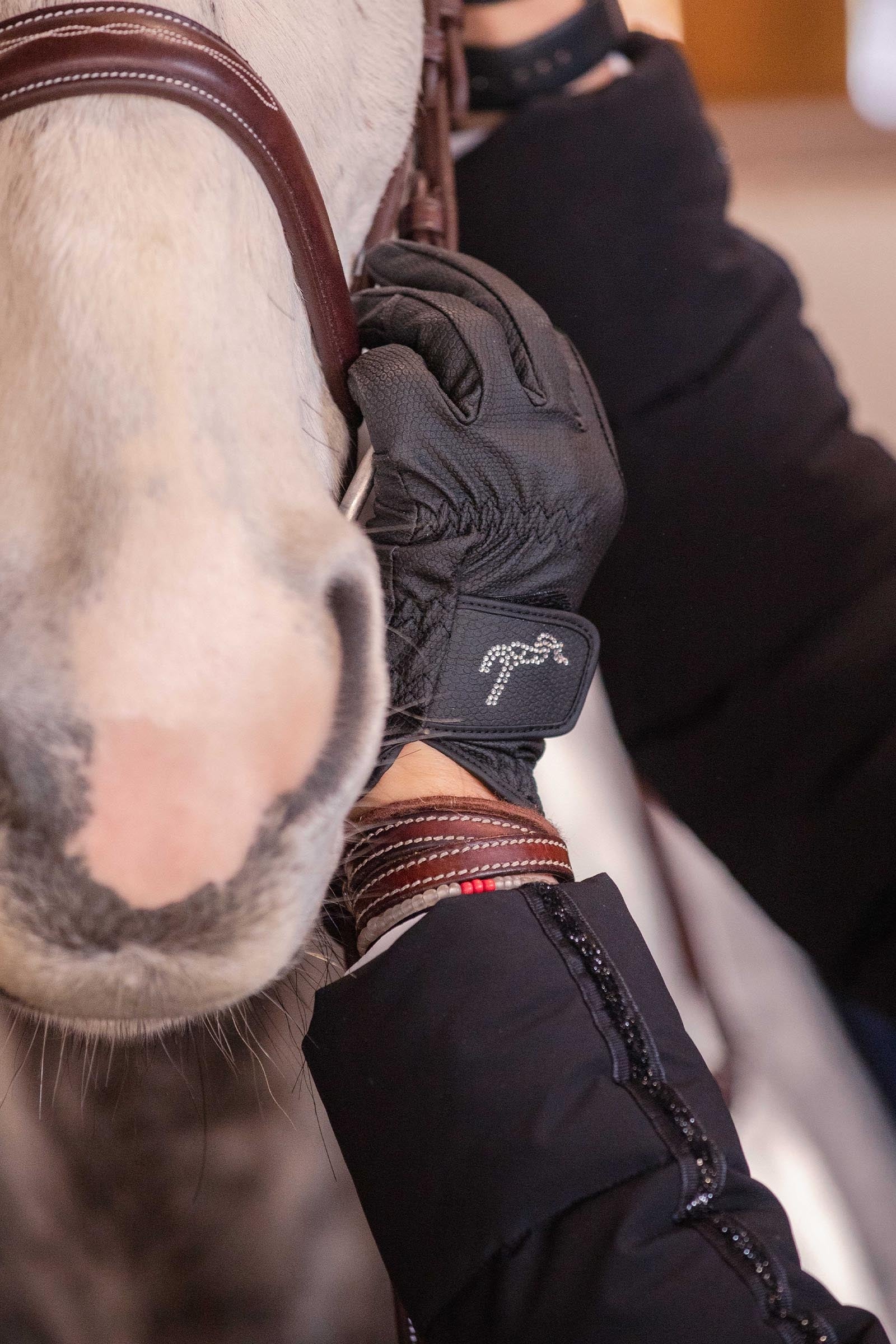 PENELOPE Lyoni Riding Gloves Riding Gloves