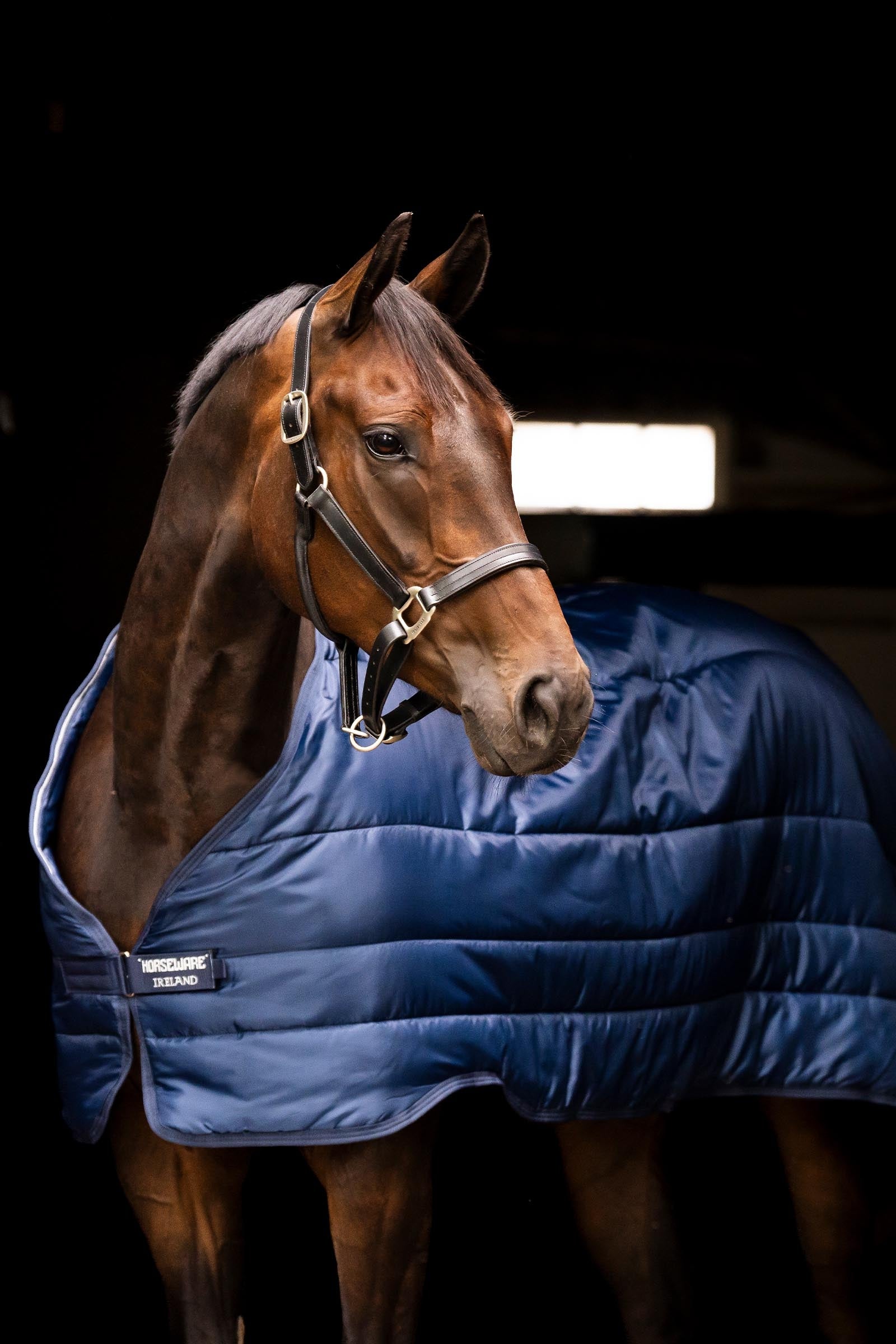 Horseware Liner 50g Horse Rugs