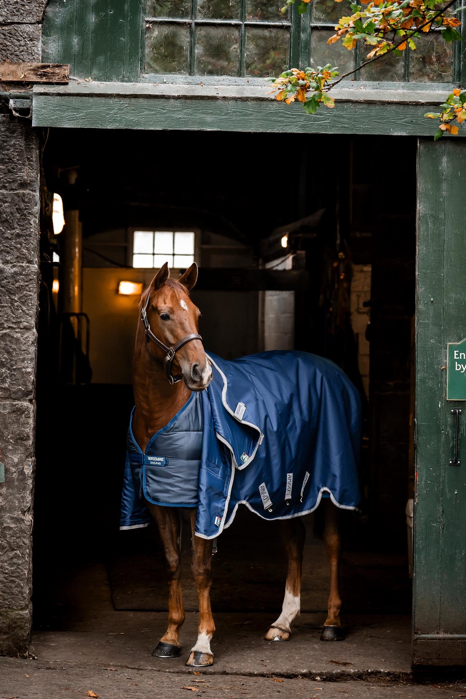 Horseware Liner 50g Horse Rugs