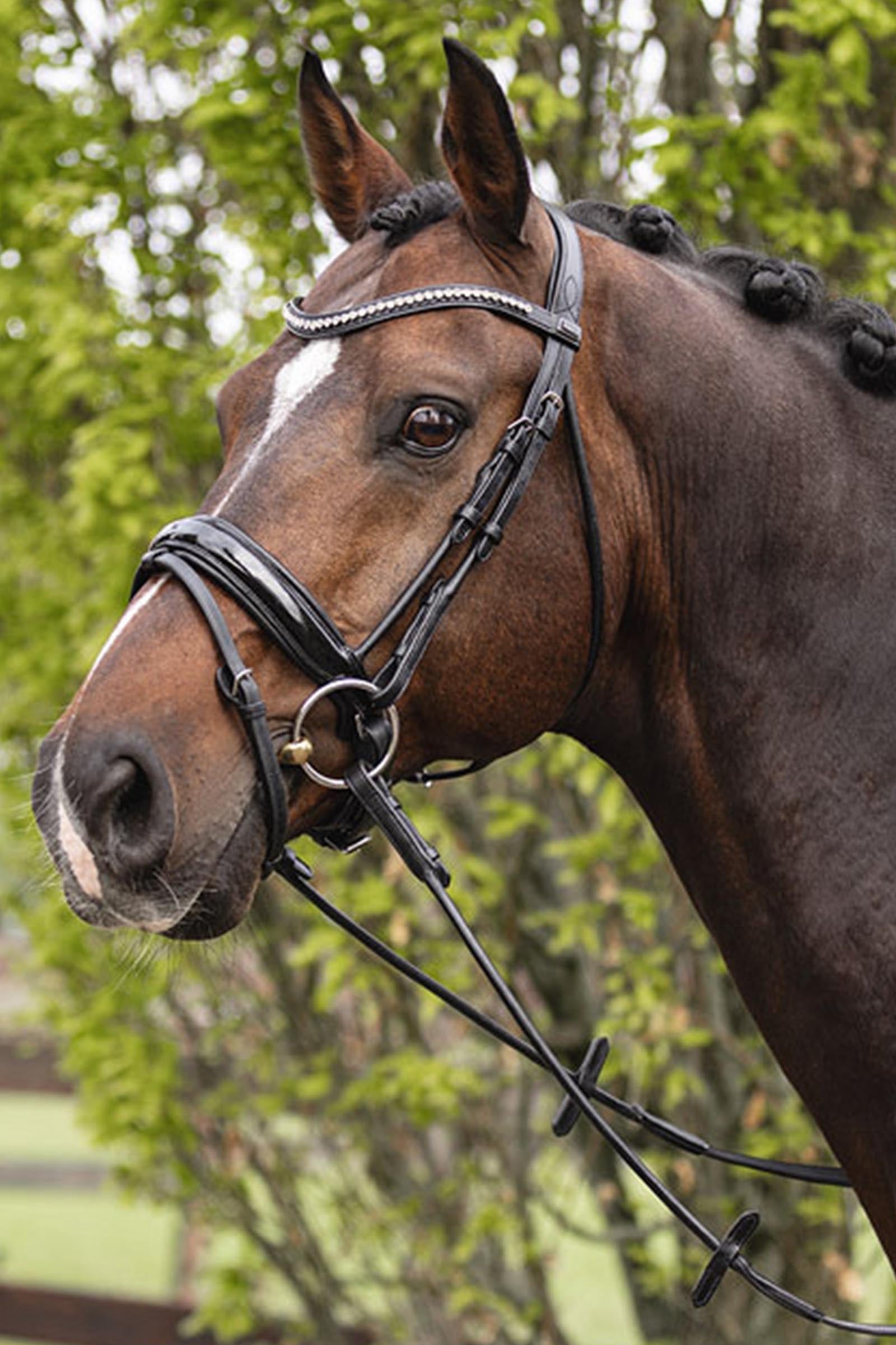 Anky ANKY Anatomic Bridle Shaped Noseband Bridles & Reins
