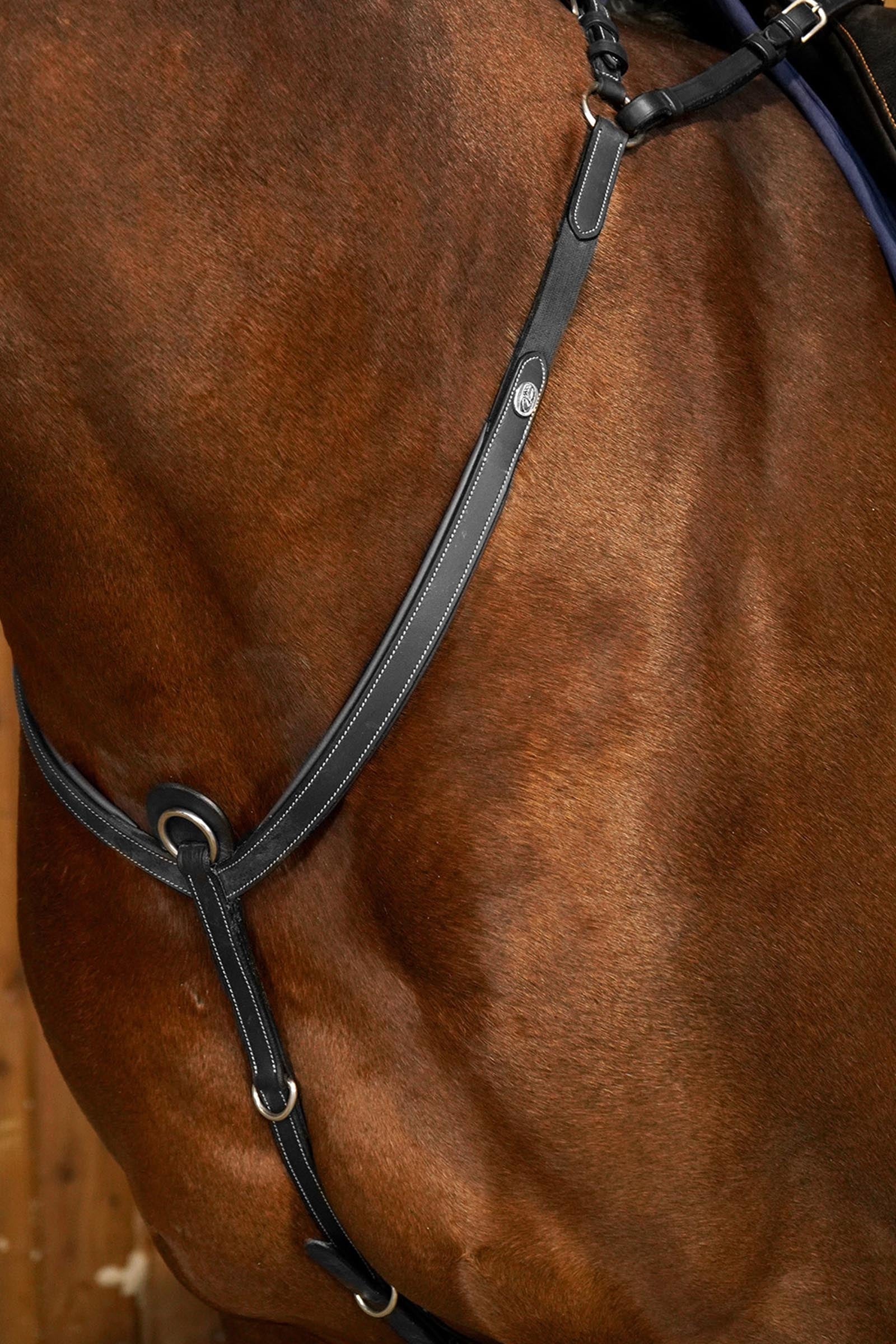 Dy'on Working Bridge Breastplate Bridles & Reins