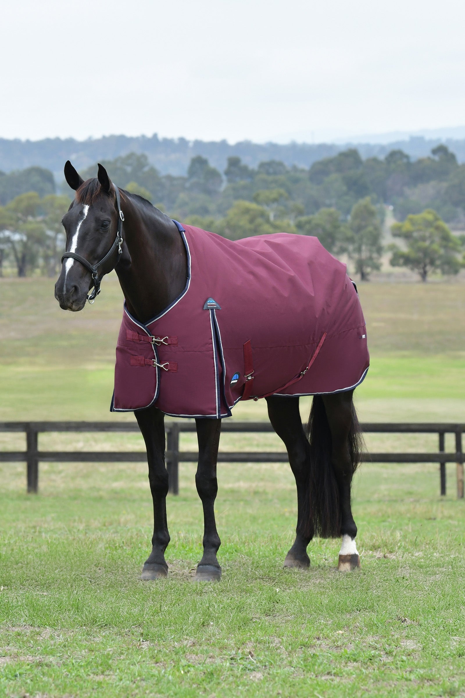 Weatherbeeta ComFiTec Essential Turnout Standard Neck 50G Mantas Caballo