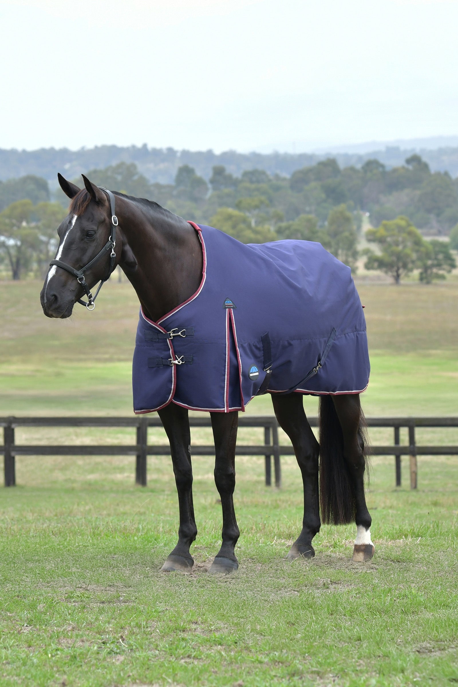 Weatherbeeta ComFiTec Essential Turnout Standard Neck 50G Mantas Caballo