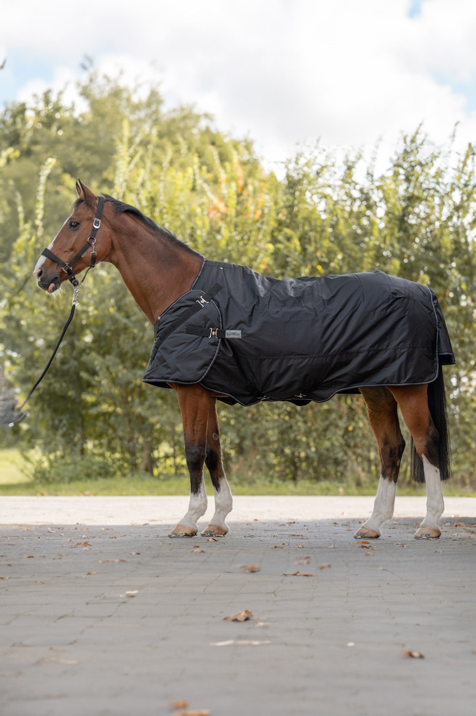 Kavalkade Halifax 2en1 Manta de Exterior y Manta para Caminador 50g Mantas Caballo