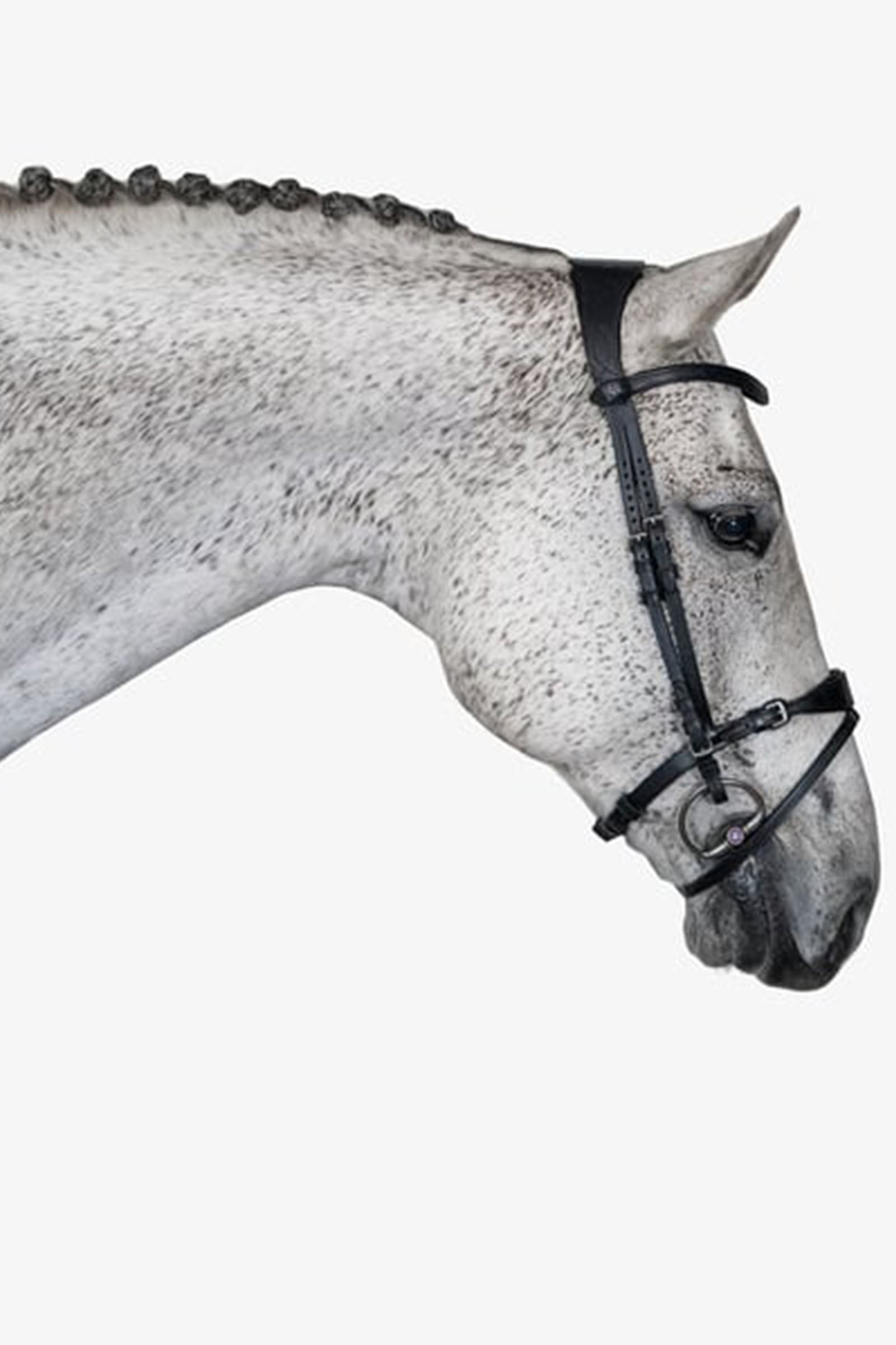 PS of Sweden Bridle, Mary Lou by Henrik von Eckermann Bridles & Reins