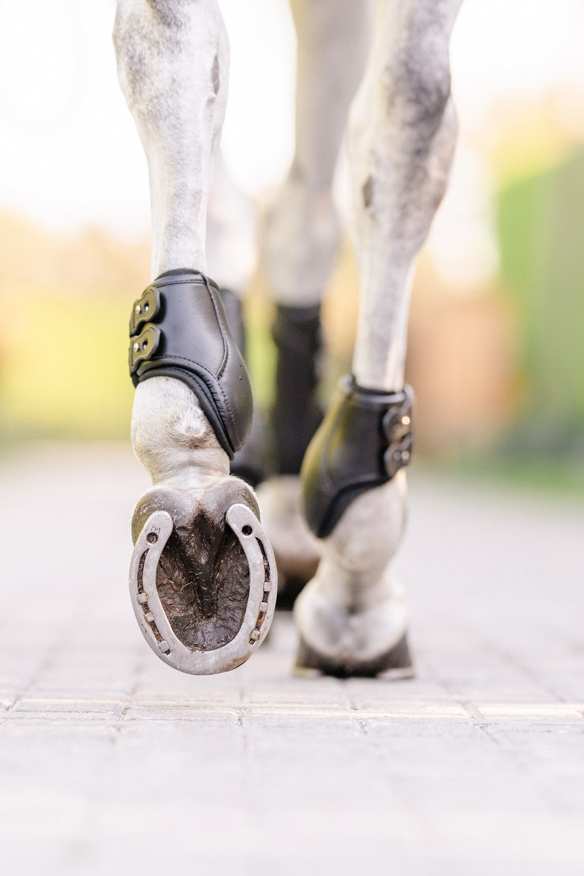 EquiFit D-Teq™ Hind Boot - ImpacTeq® Liner (Pair) Leg & Hoof Protection