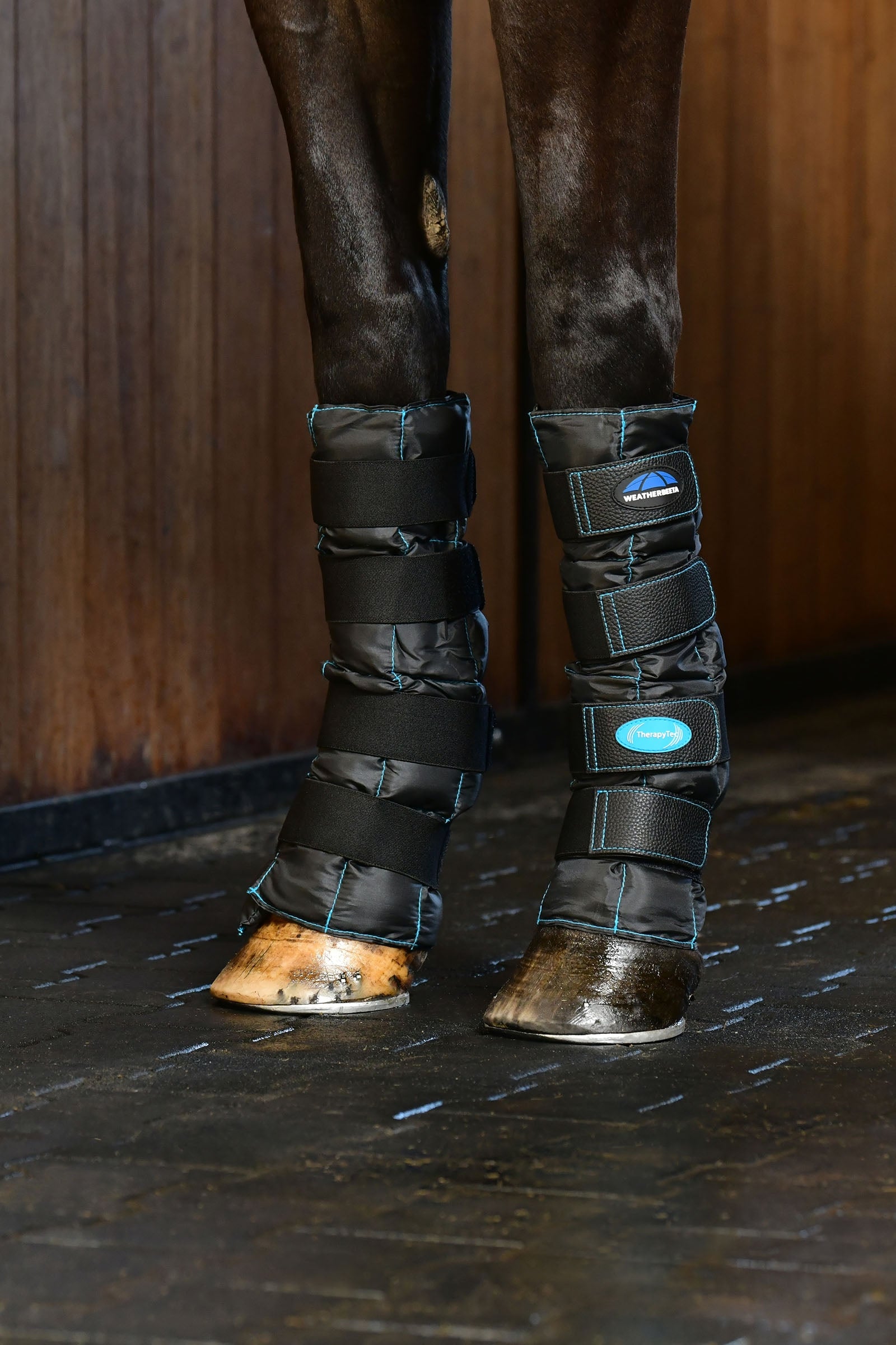 Weatherbeeta Therapy-Tec Ii Gel Ice Boots Leg Protection & Hoof Protection for Horses
