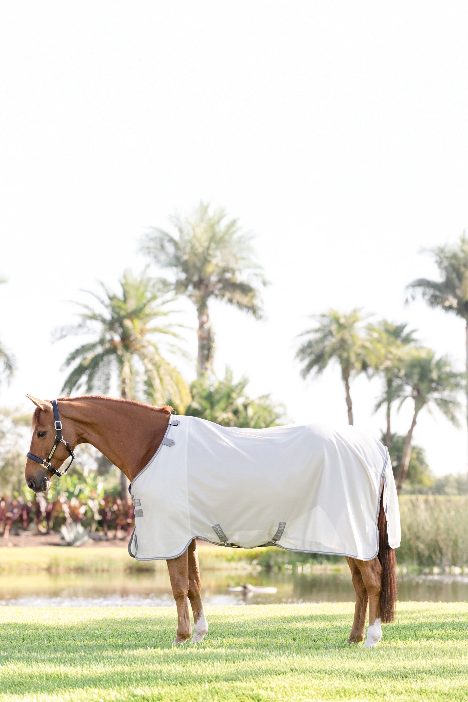 Horseware Amigo manta antimoscas con protección UV Mantas Caballo