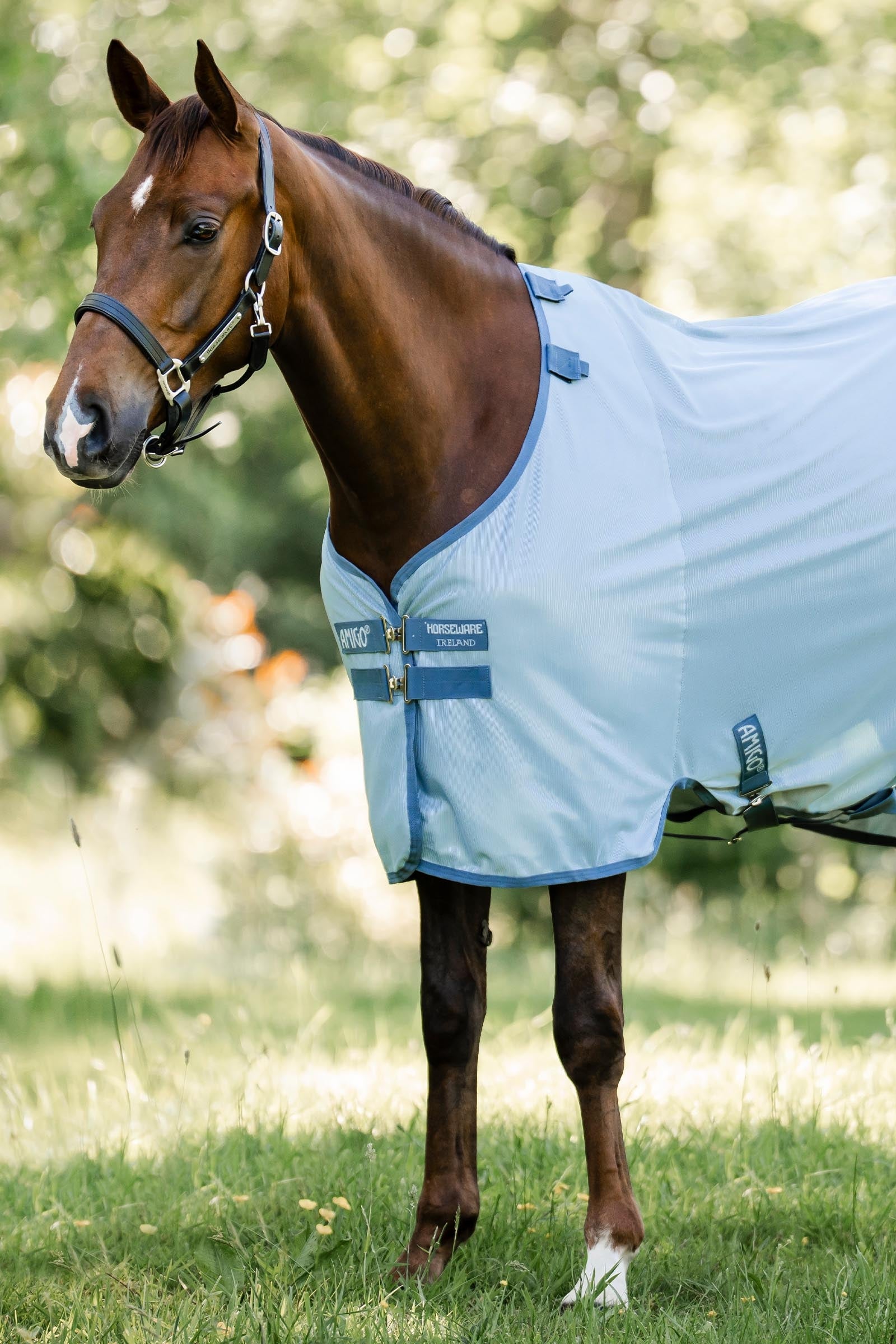 Horseware Amigo manta antimoscas con protección UV Mantas Caballo
