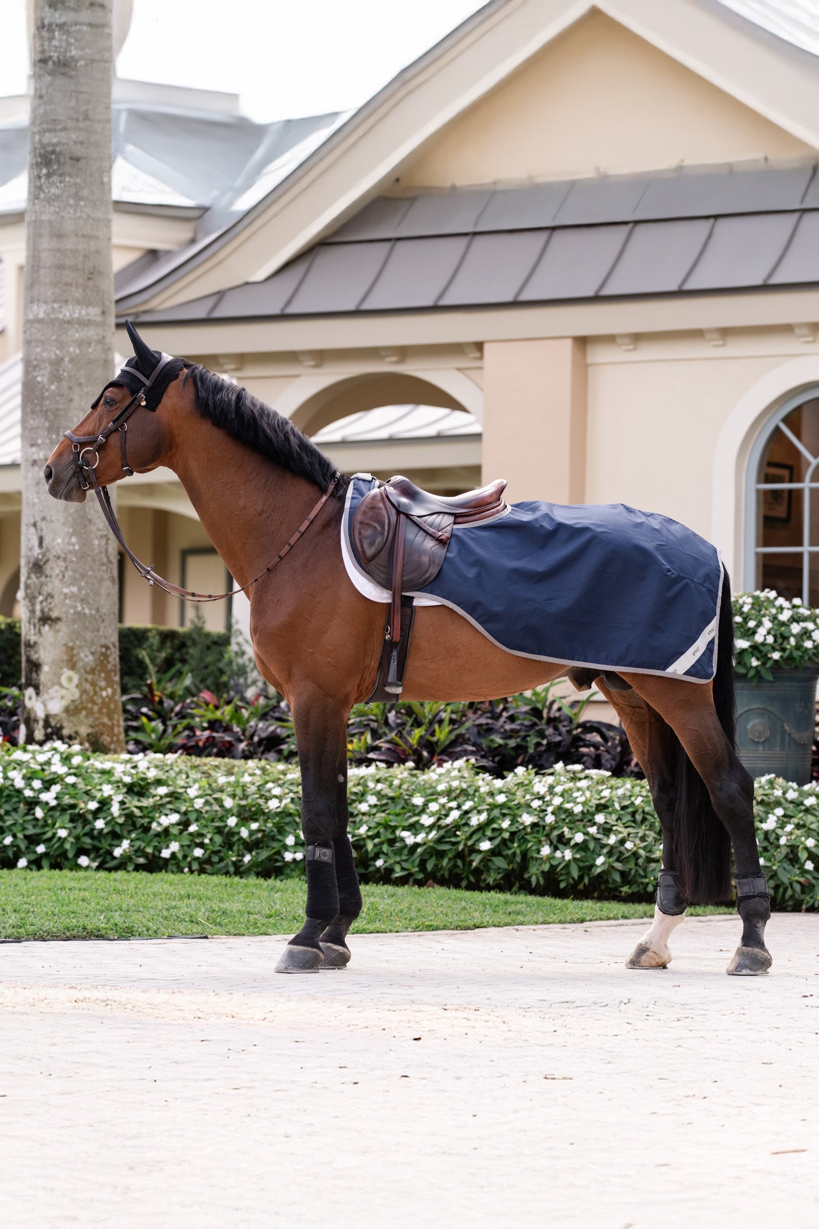 Horseware Amigo Ripstop Exercise Sheet Horse Rugs