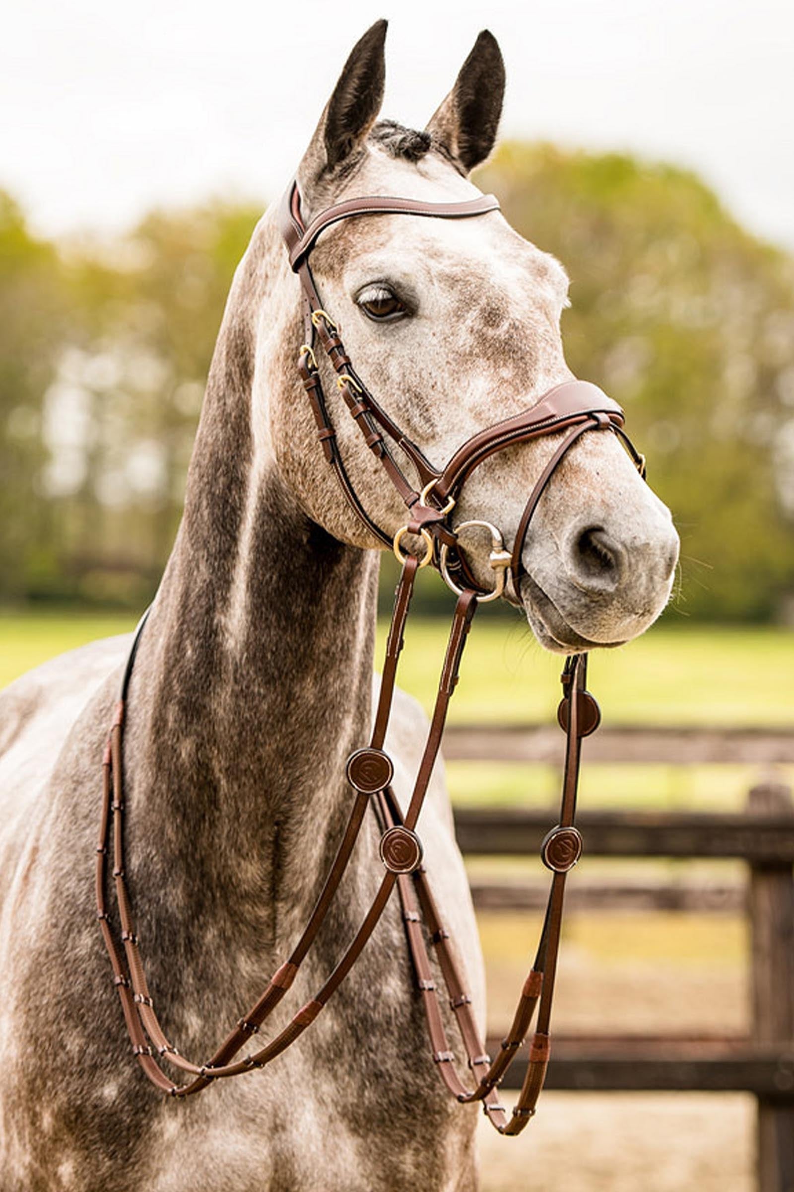 Trust Equestrian Falsterbo T-motion Bridle Bridles & Reins