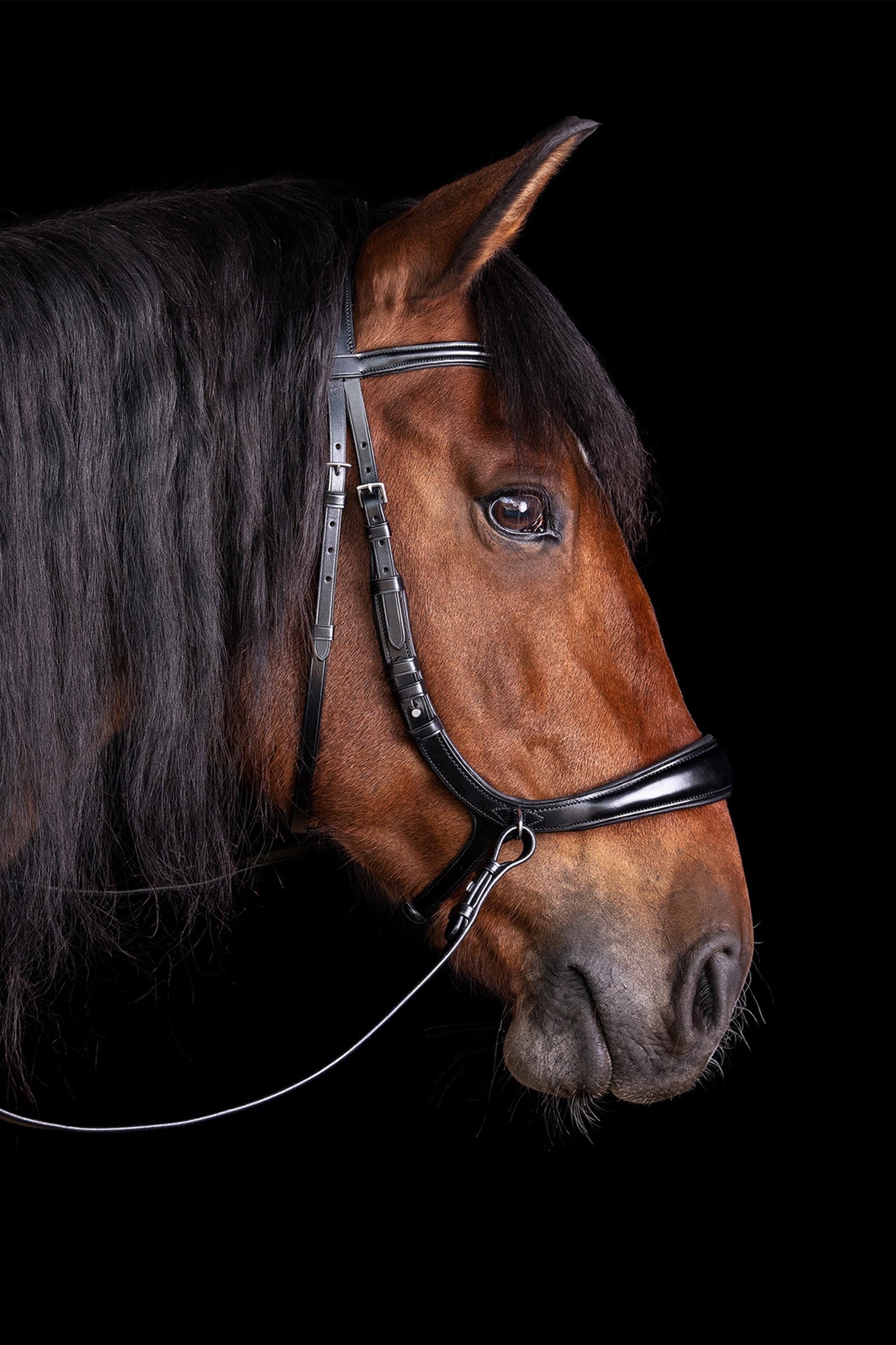 Schockemöhle Sports Equitus Theta 3in1 Bridle Bridles & Reins