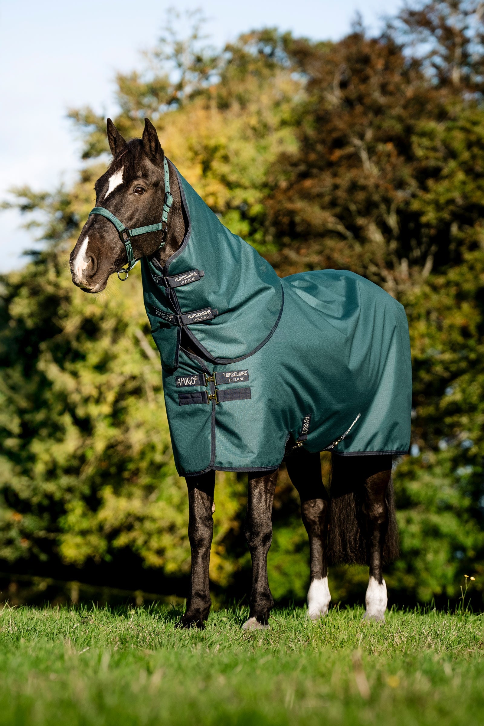 Horseware Amigo Ripstop 900D Plus manta de exterior para poni, 200 g Mantas Caballo