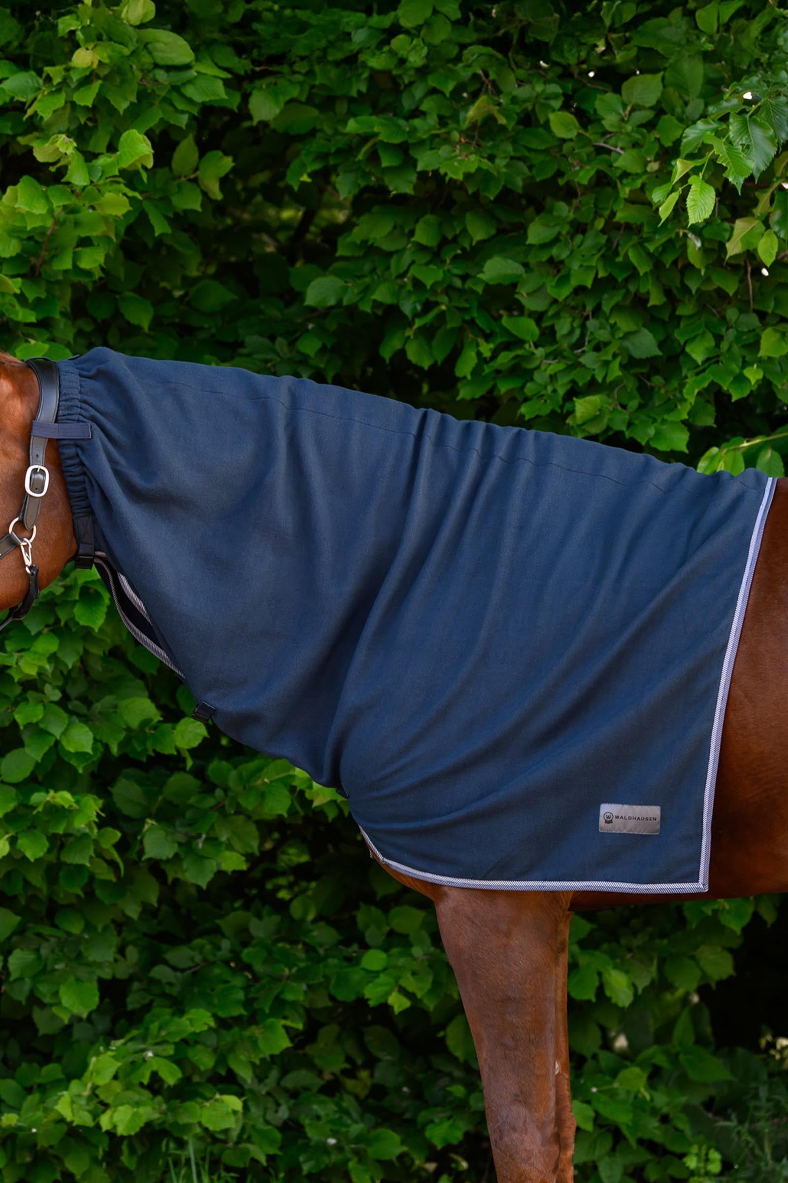 Waldhausen ECONOMIC cubrecuello polar Mantas Caballo