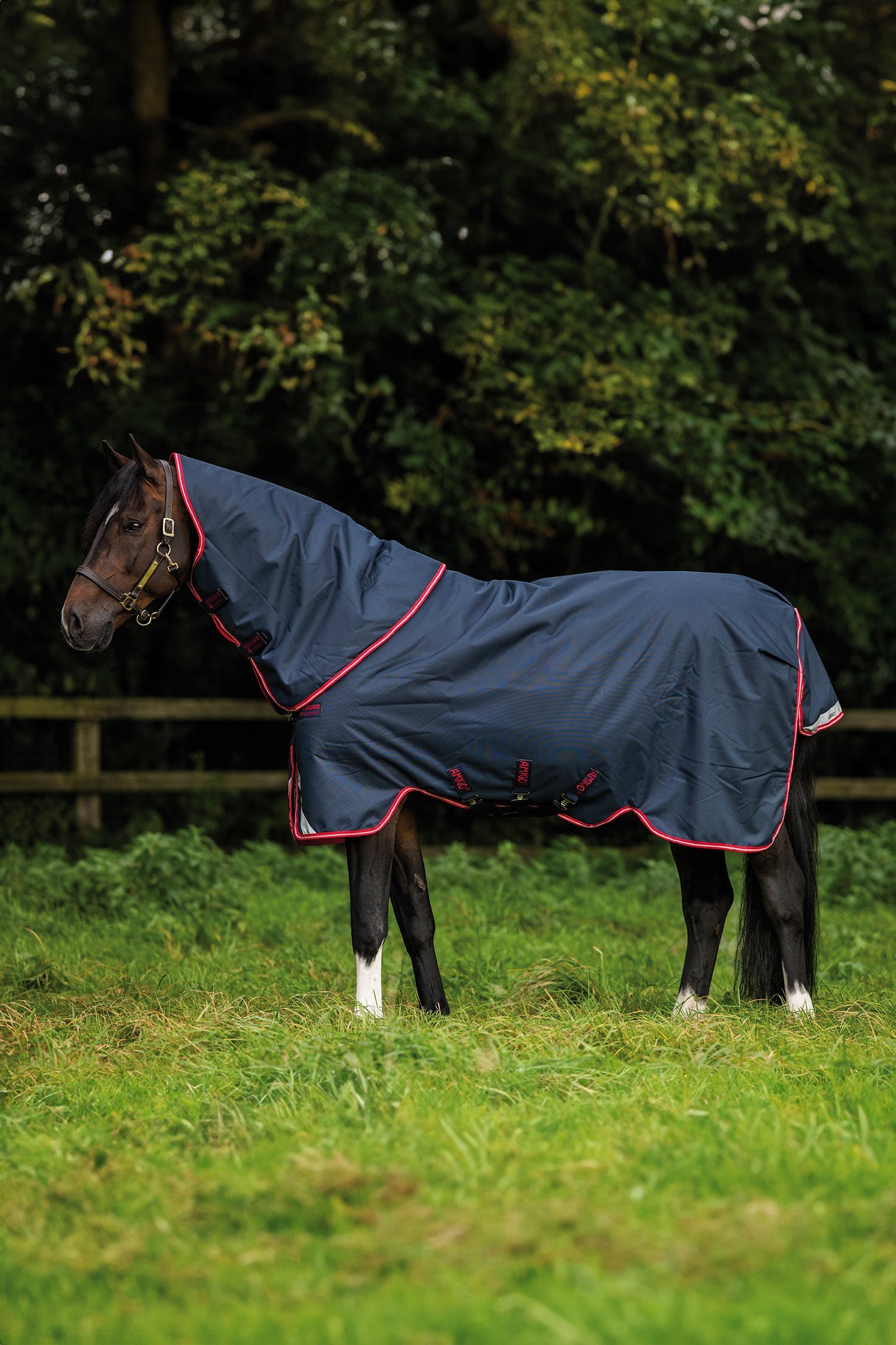 Horseware Amigo Bravo 12 Plus manta de exterior, 250 g Mantas Caballo