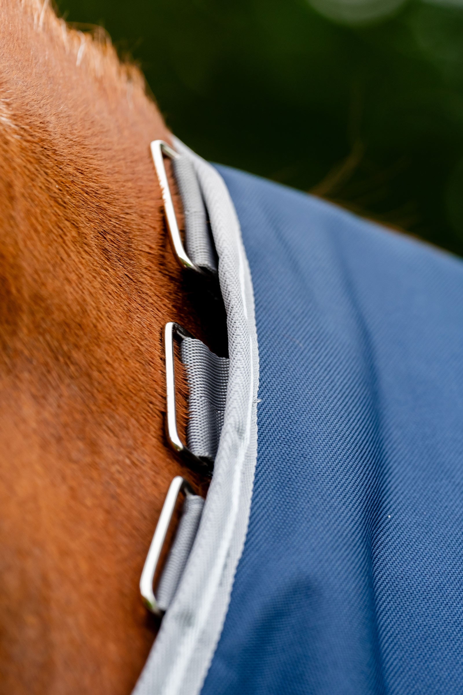 Horseware Amigo Bravo 12 Plus Turnout Rug, 250 g Horse Rugs