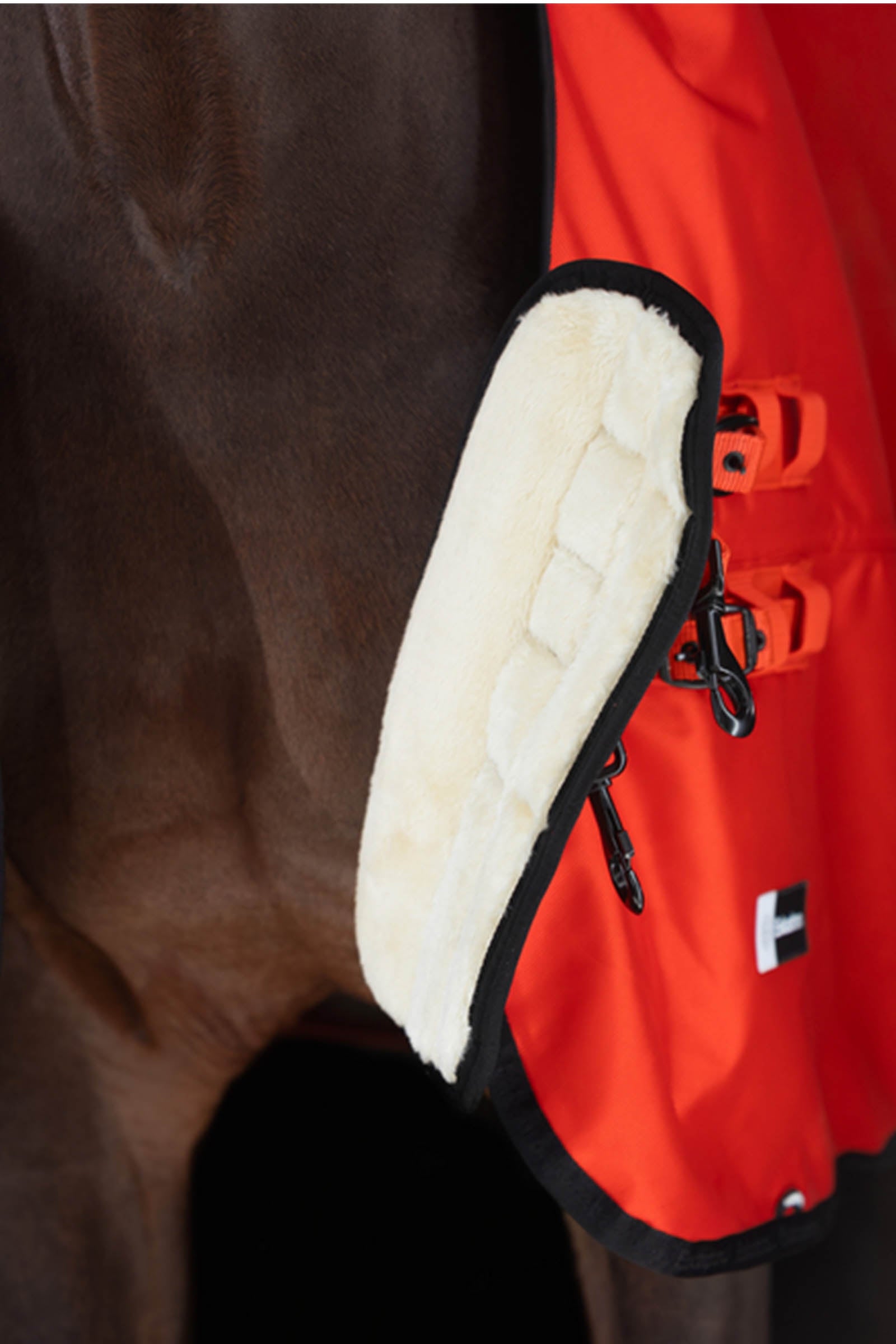 Eskadron Dynamics AW25 Beta Turnout Rug, 50 g Horse Rugs