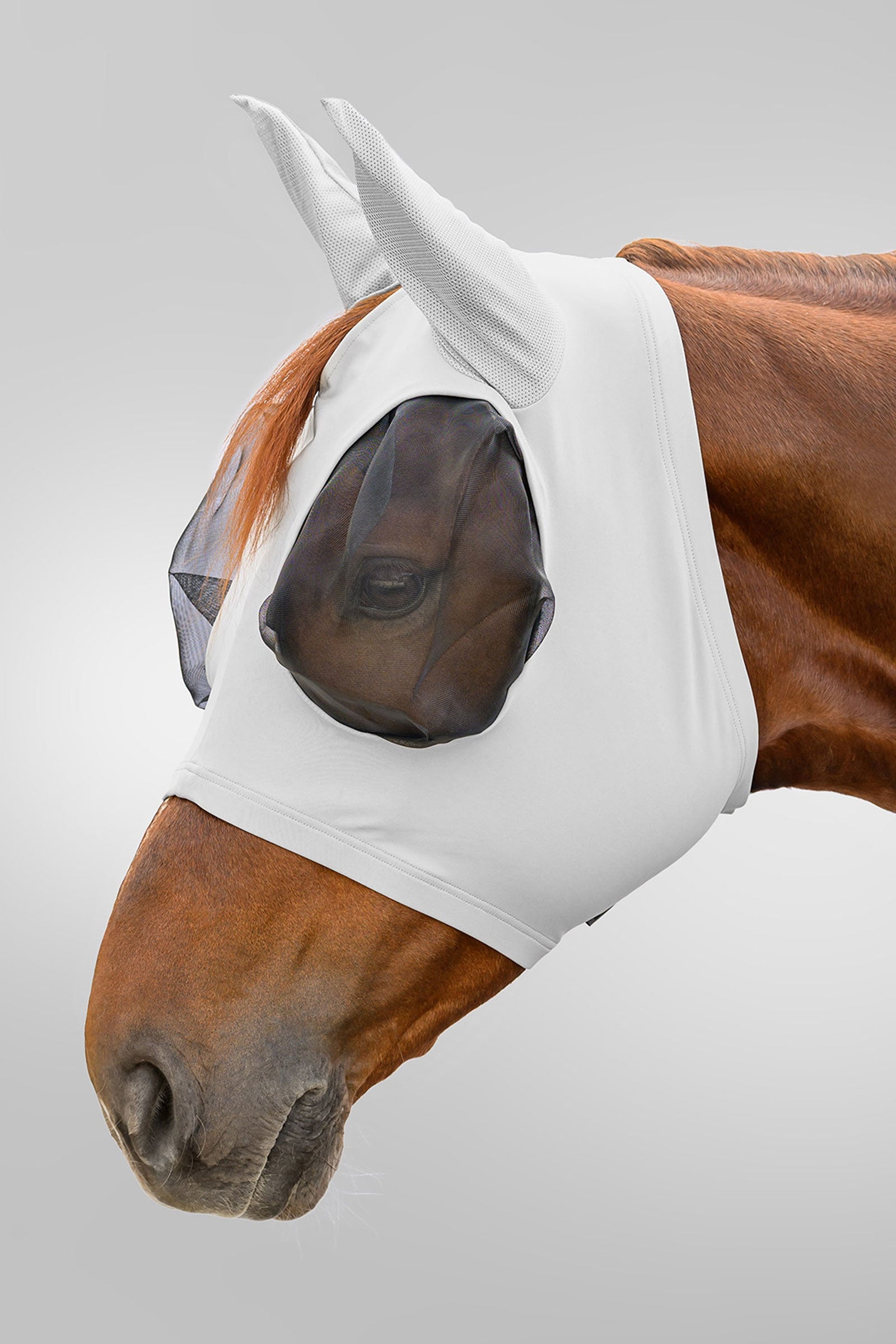 Waldhausen Flex Puck máscara antimoscas con protección UV Protección Antimoscas para Caballos