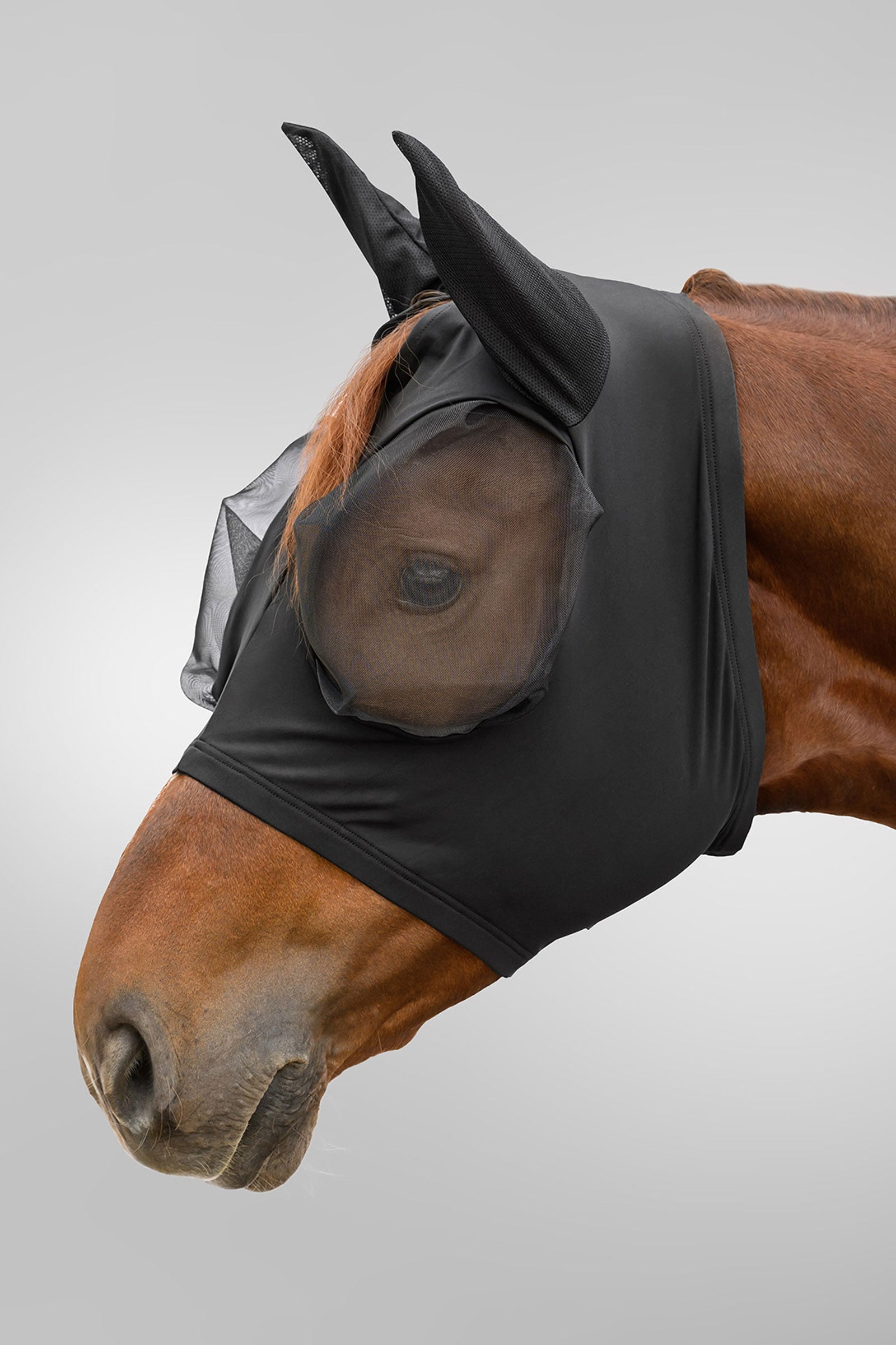 Waldhausen Flex Puck máscara antimoscas con protección UV Protección Antimoscas para Caballos