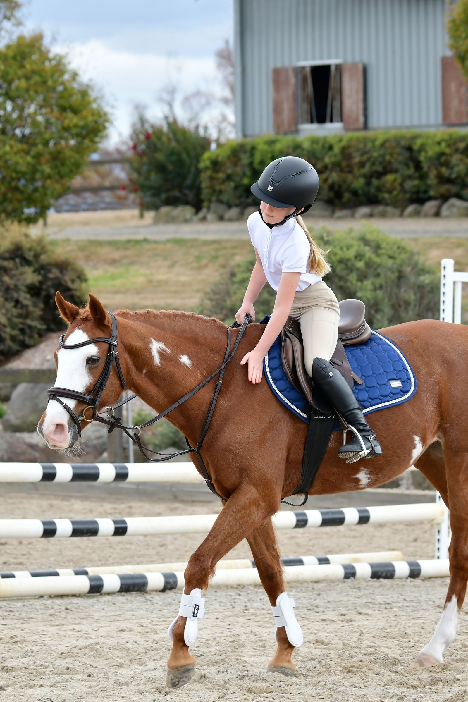 Collegiate Comfitec Opulux Plain Padded Hanoverian Flash Bridle Bridles & Reins