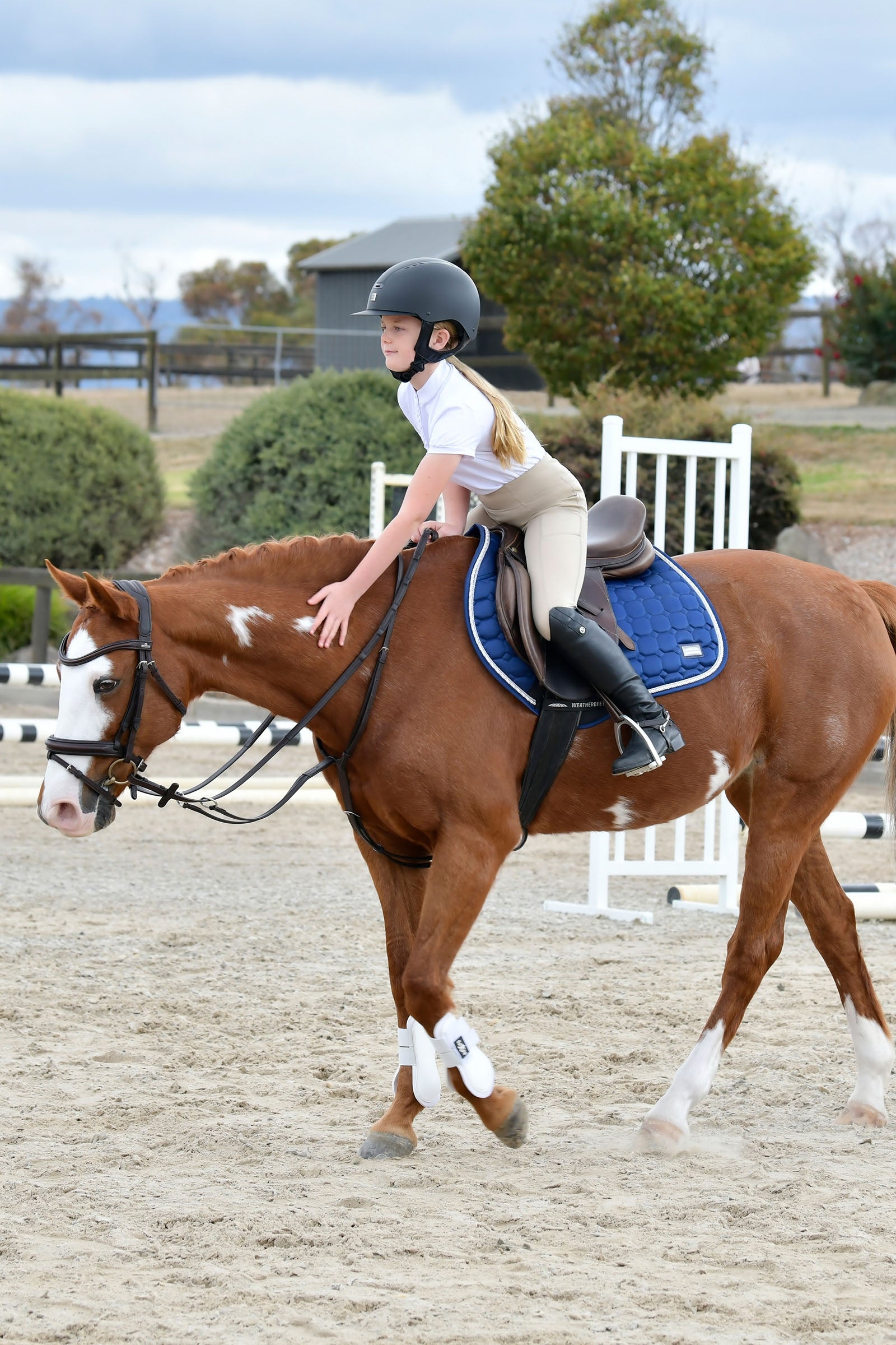 Collegiate Comfitec Opulux Plain Padded Hanoverian Flash Bridle Bridles & Reins