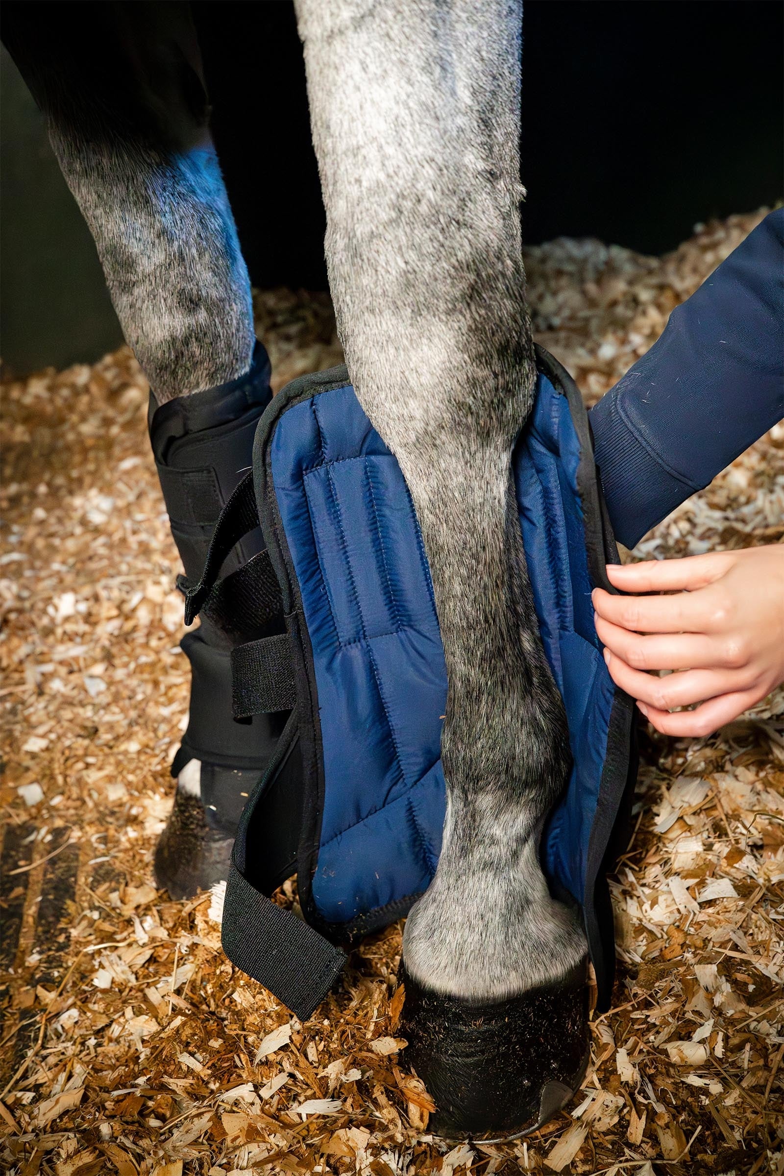 Horseware bota de cuadra Ionic liner Leg Protection & Hoof Protection for Horses