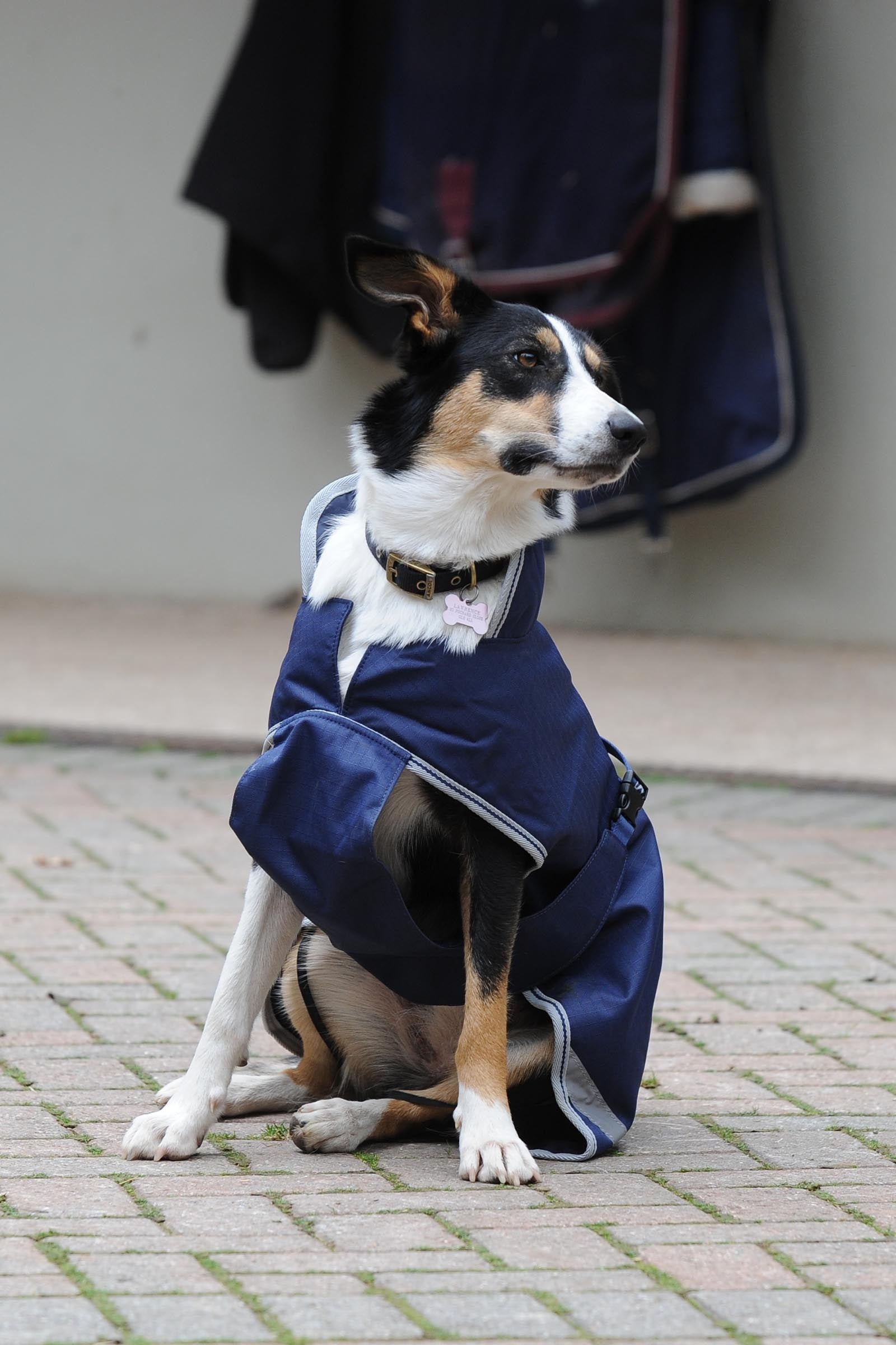 Lifestyle shot 4