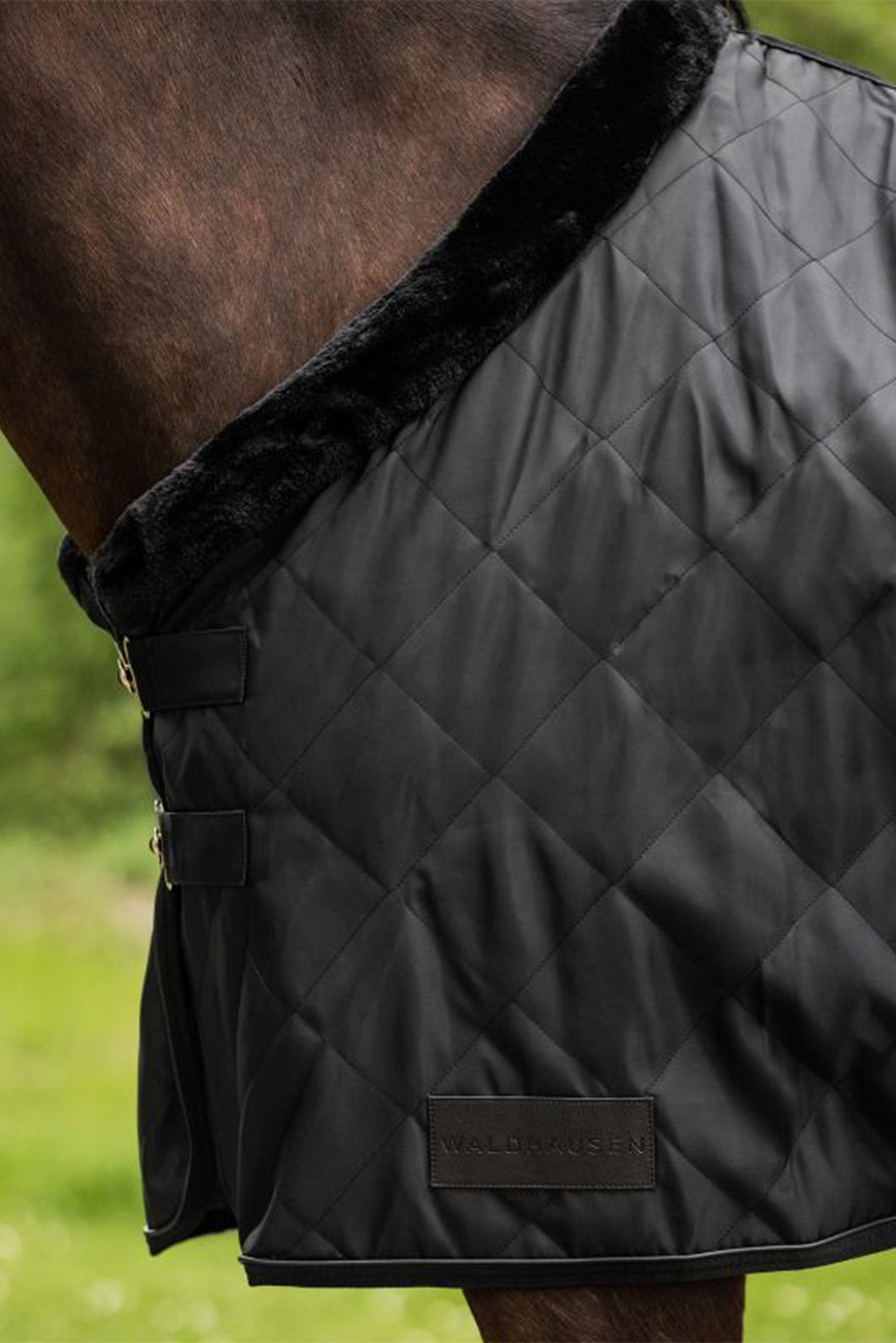 Waldhausen Exclusive Travel Rug, 50g Horse Rugs