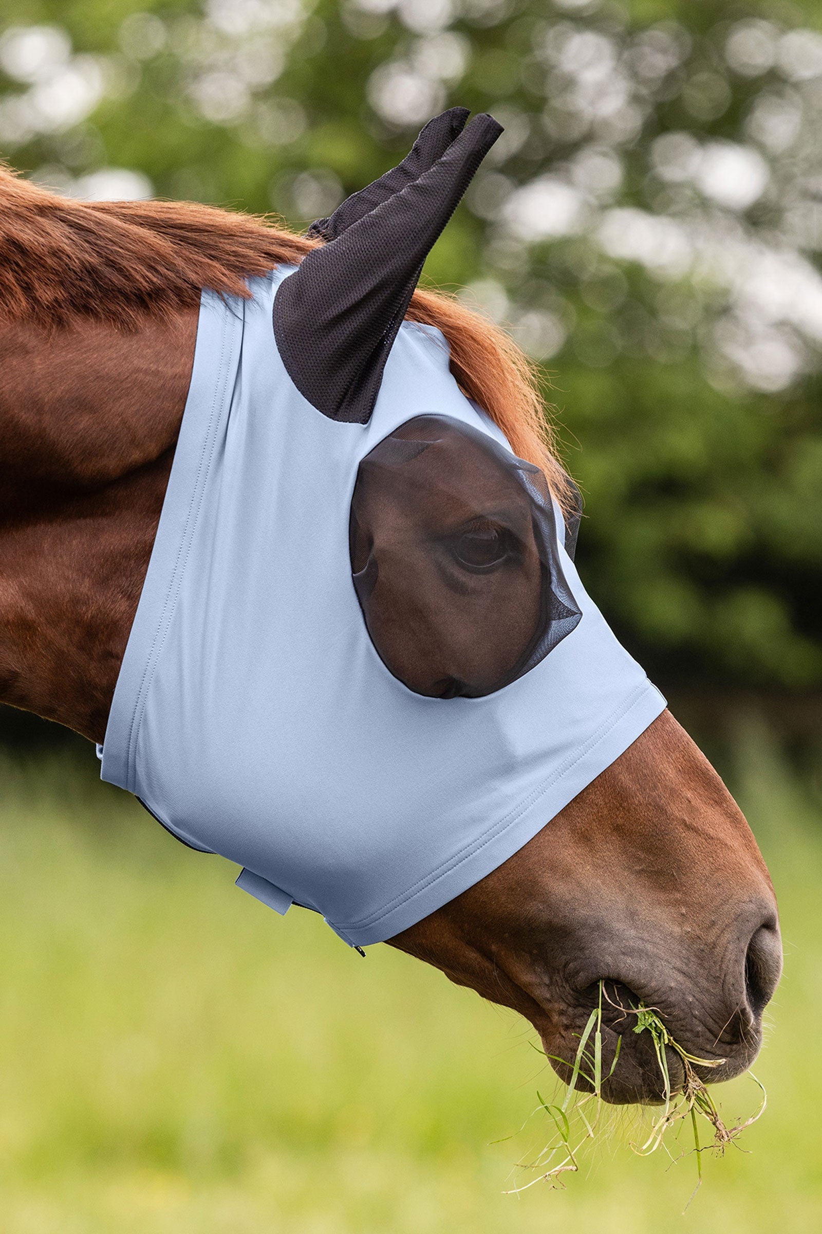 Waldhausen Puck máscara antimoscas con cremallera y protección UV Protección Antimoscas para Caballos