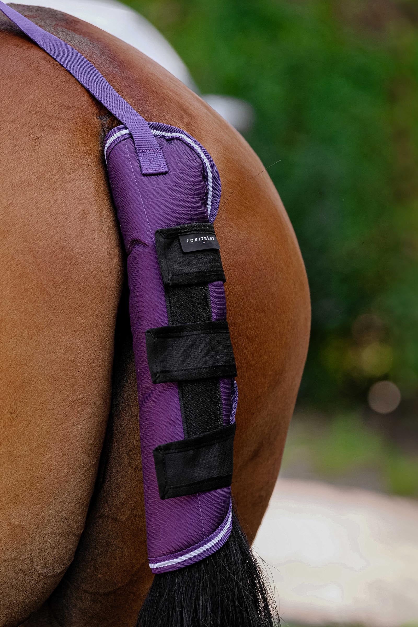 EQUITHÈME TYREX 600D Tail Guard Plume Leg & Hoof Protection
