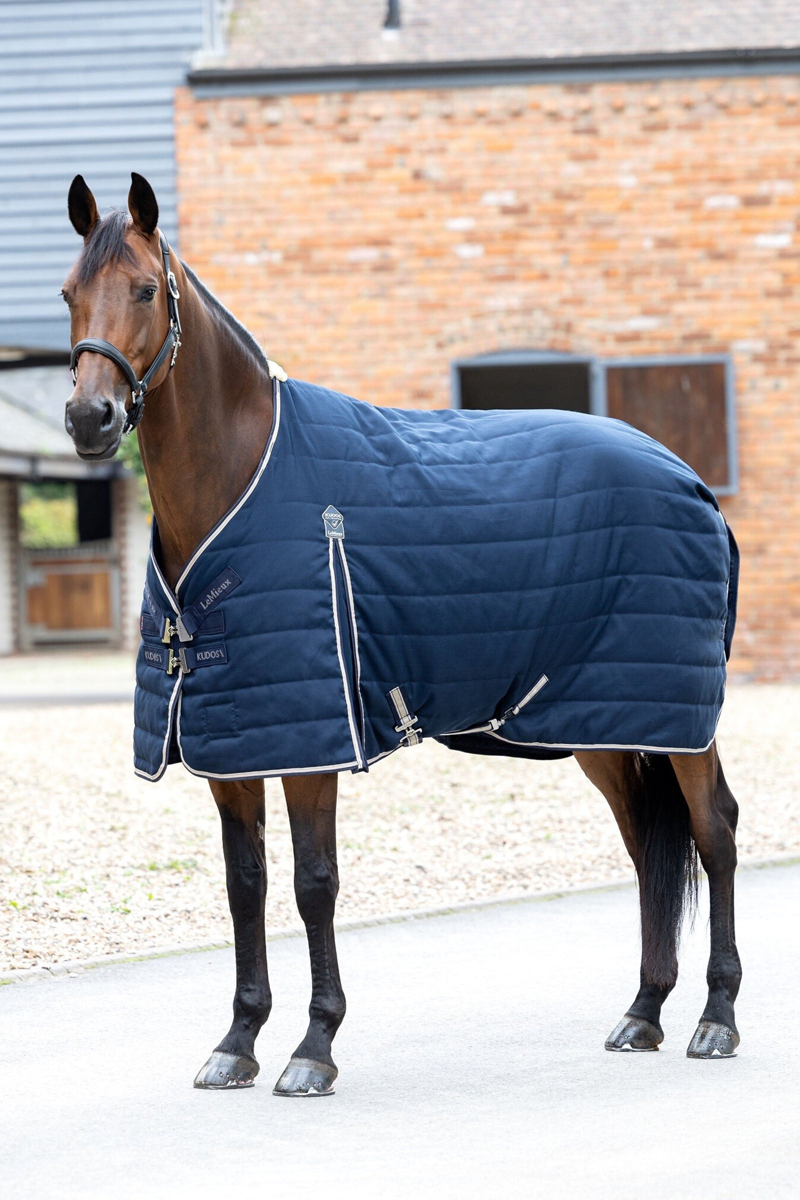 LeMieux Kudos Stable Rug 50g Horse Rugs