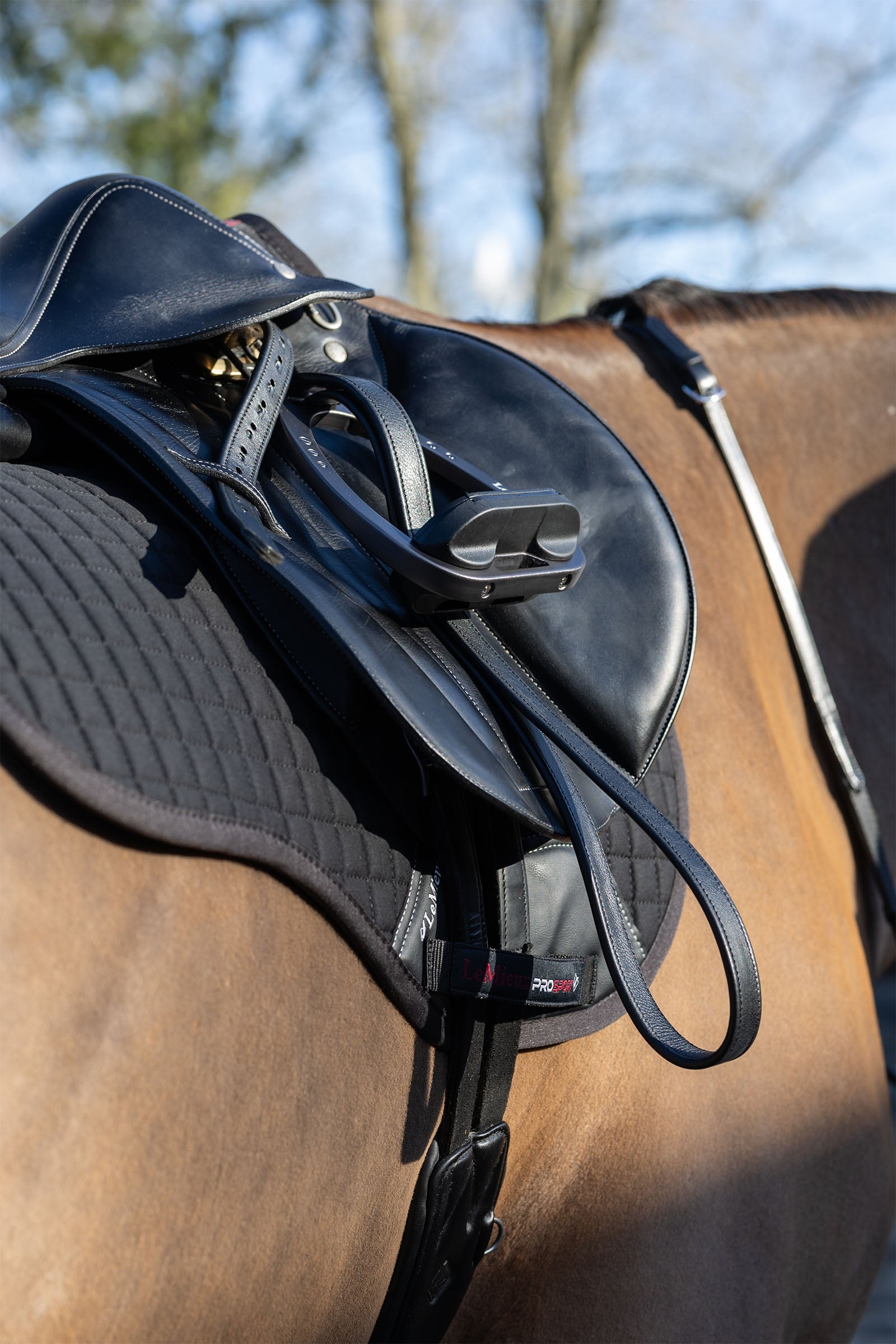 LeMieux Arika Stirrup Leather Saddles, Girths & Stirrups