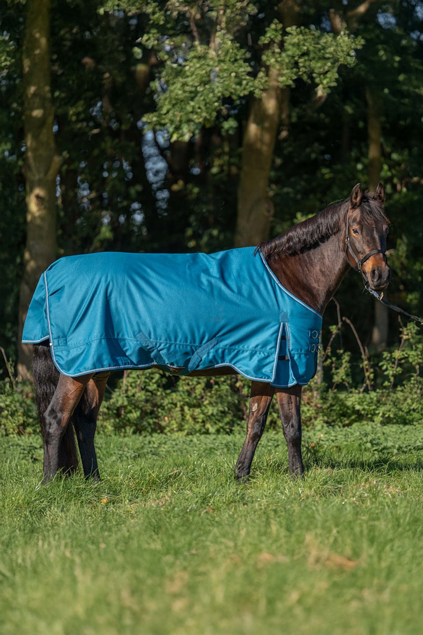 Kavalkade Alaska IV Turnout Rug, 100 g Mantas Caballo